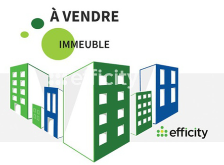 immeuble  - 343m2 à Pézenas (34120)