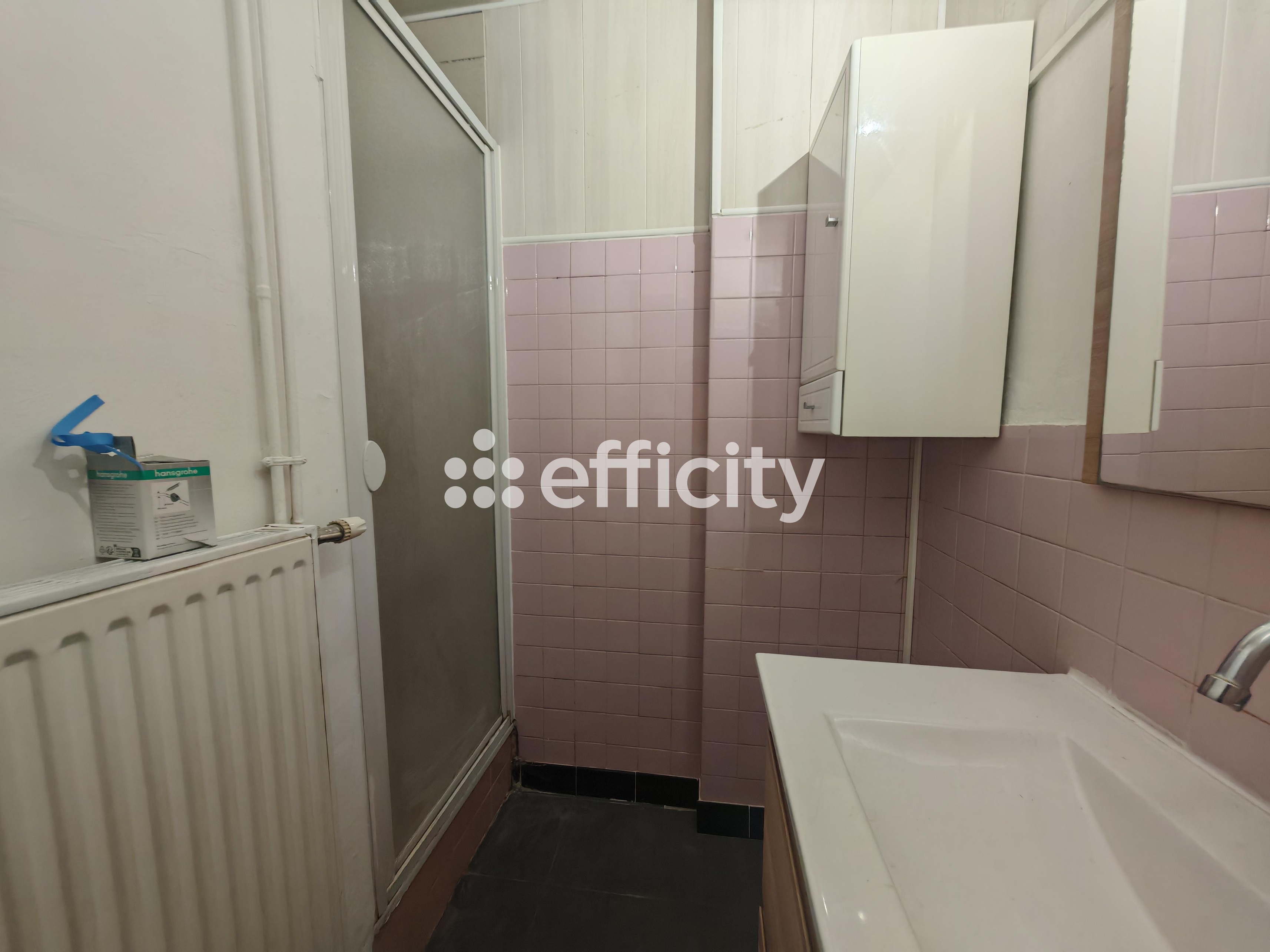 Achat immobilier Appartement 4 pièces  61m2 à Grenoble (38100) - Photo n°12
