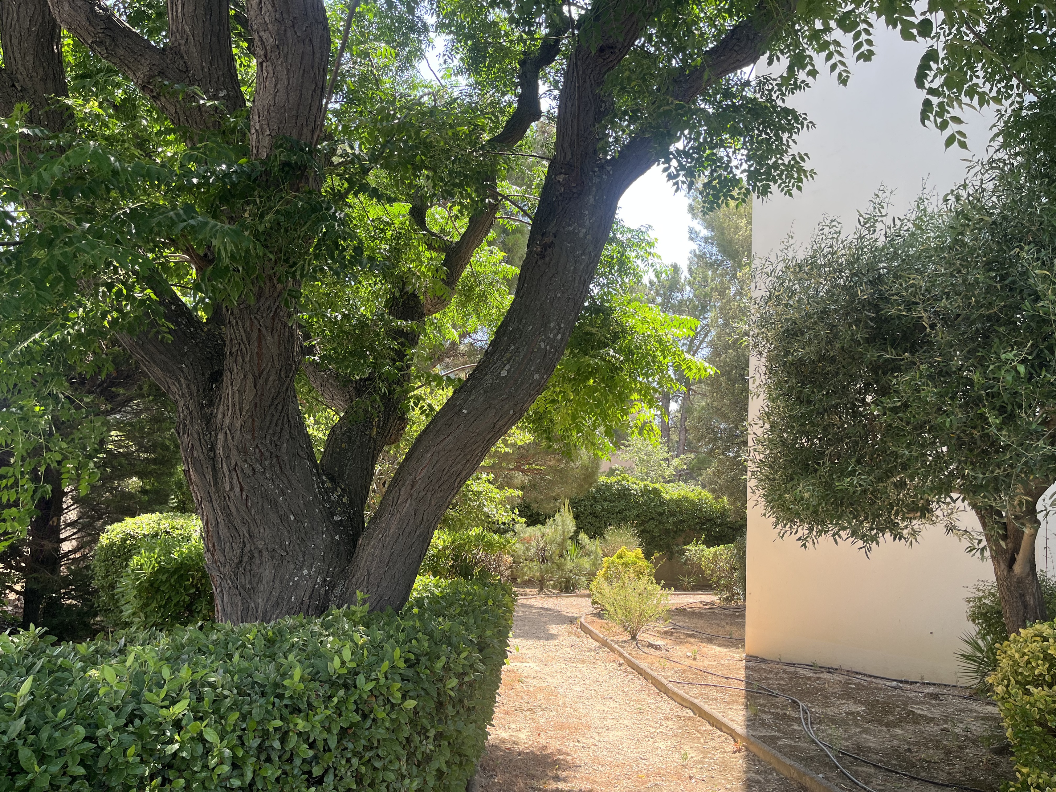 Achat immobilier Appartement 3 pièces  66m2 à Marseille (13012) - Photo n°5