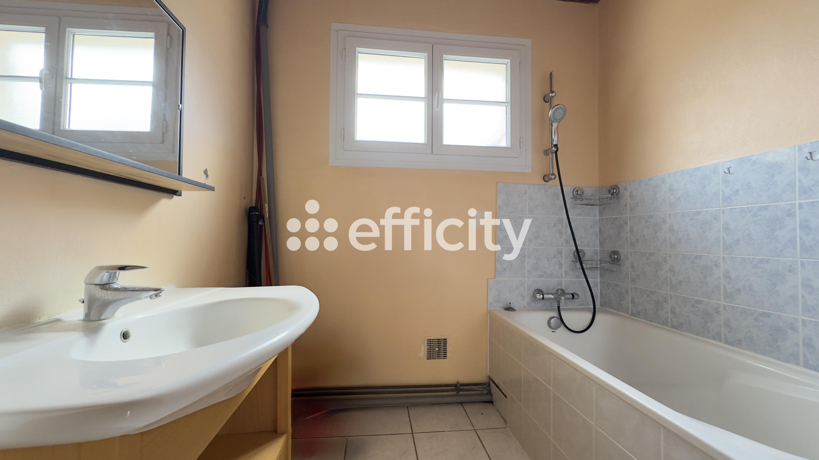 Achat immobilier Maison 8 pièces  150m2 à Saint-Barthélemy-le-Plain (07300) - Photo n°10