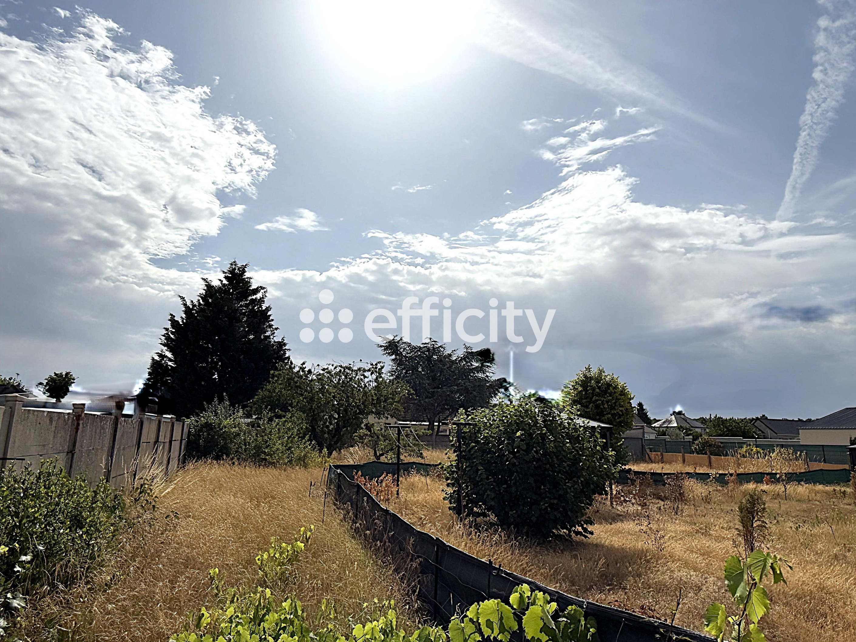 Photo illustration