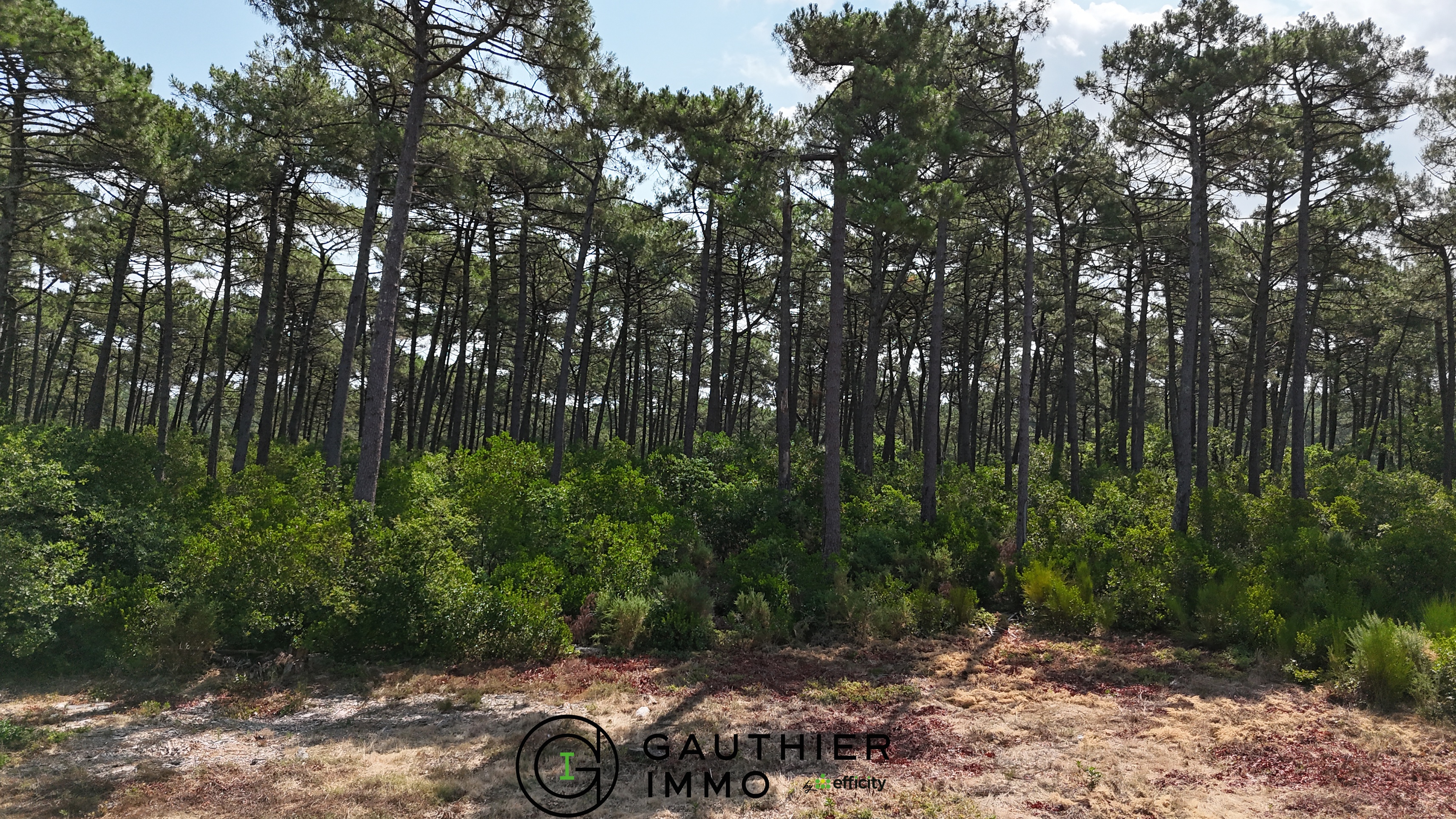 Achat immobilier Maison 5 pièces  175m2 à La Teste-de-Buch (33115) - Photo n°12