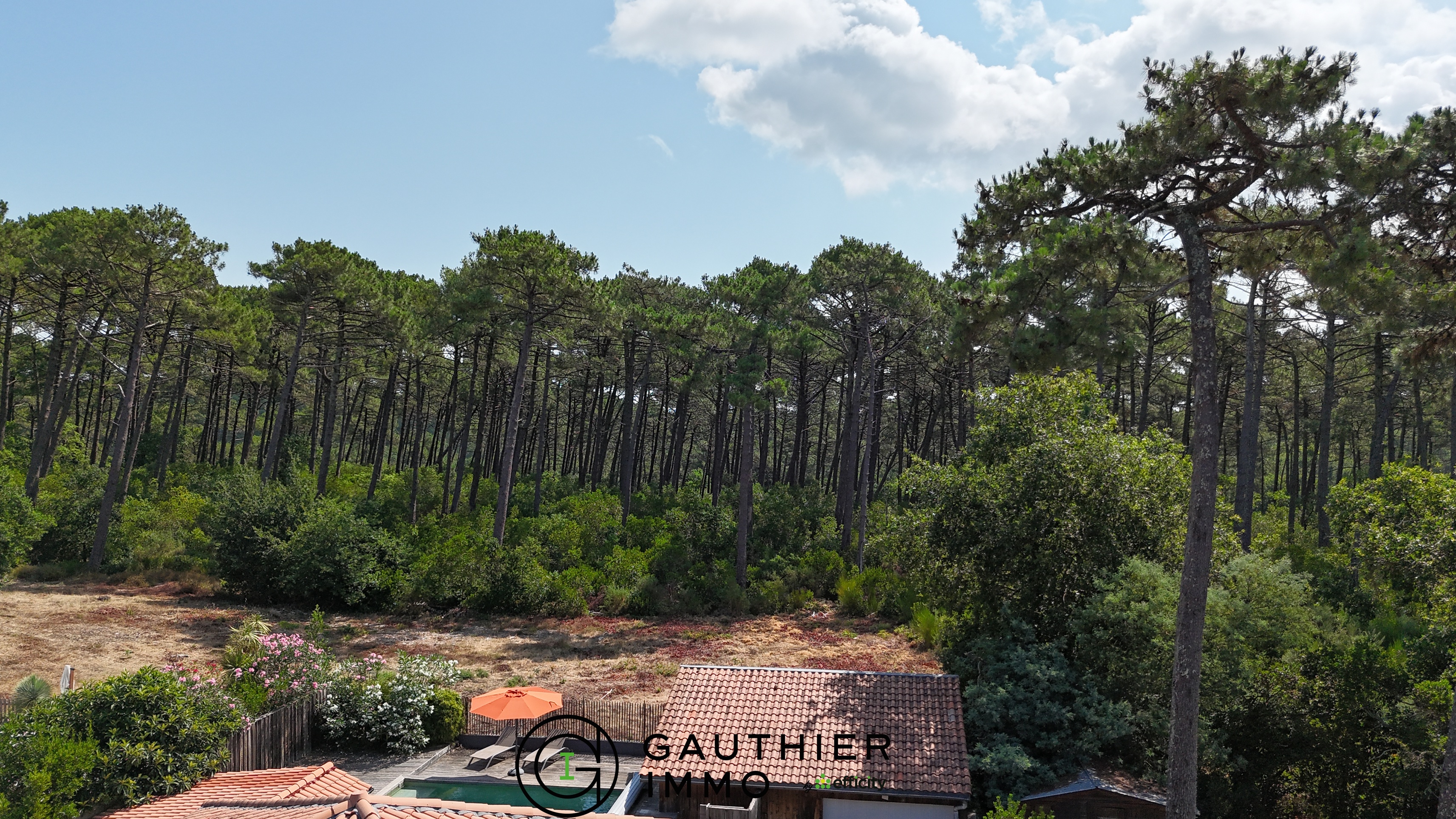 Achat immobilier Maison 5 pièces  175m2 à La Teste-de-Buch (33115) - Photo n°5