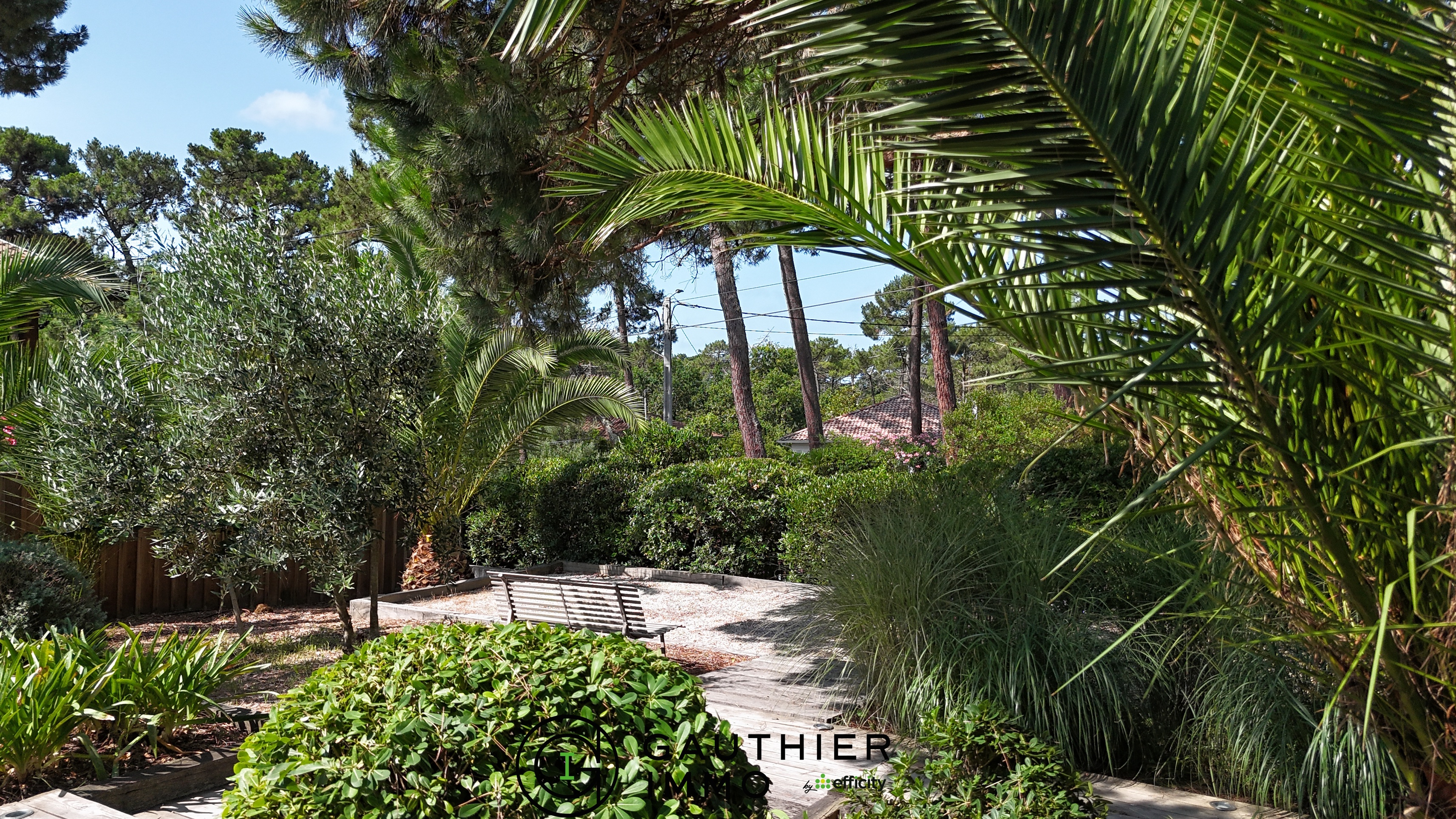 Achat immobilier Maison 5 pièces  175m2 à La Teste-de-Buch (33115) - Photo n°11