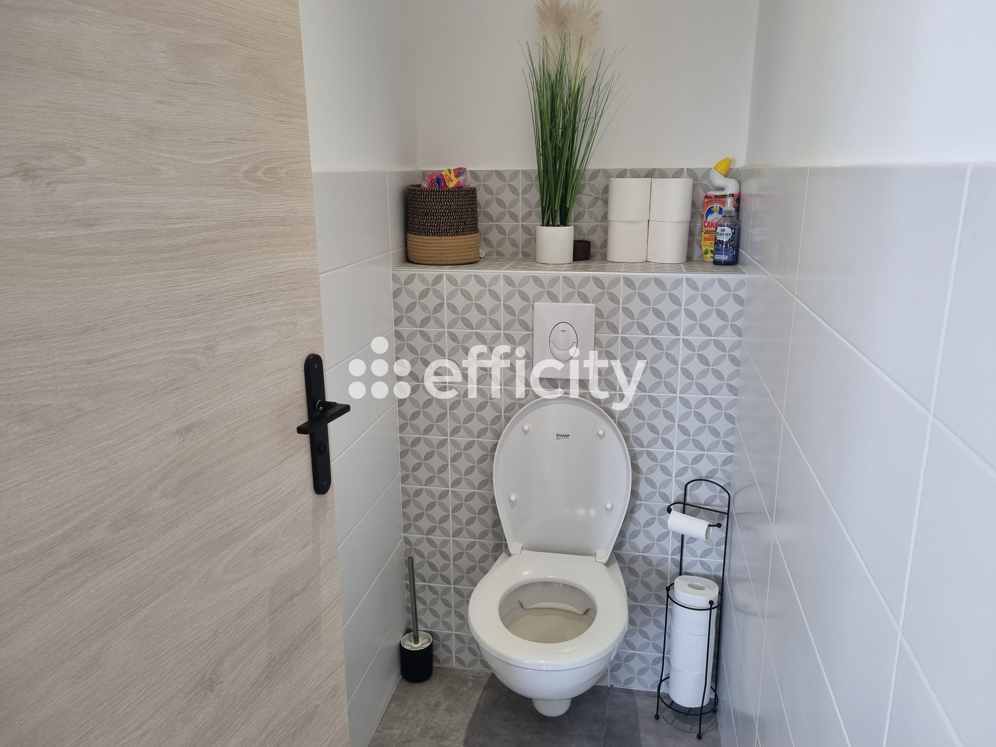 Achat immobilier Maison 5 pièces  80m2 à Saint-Chély-d'Apcher (48200) - Photo n°13