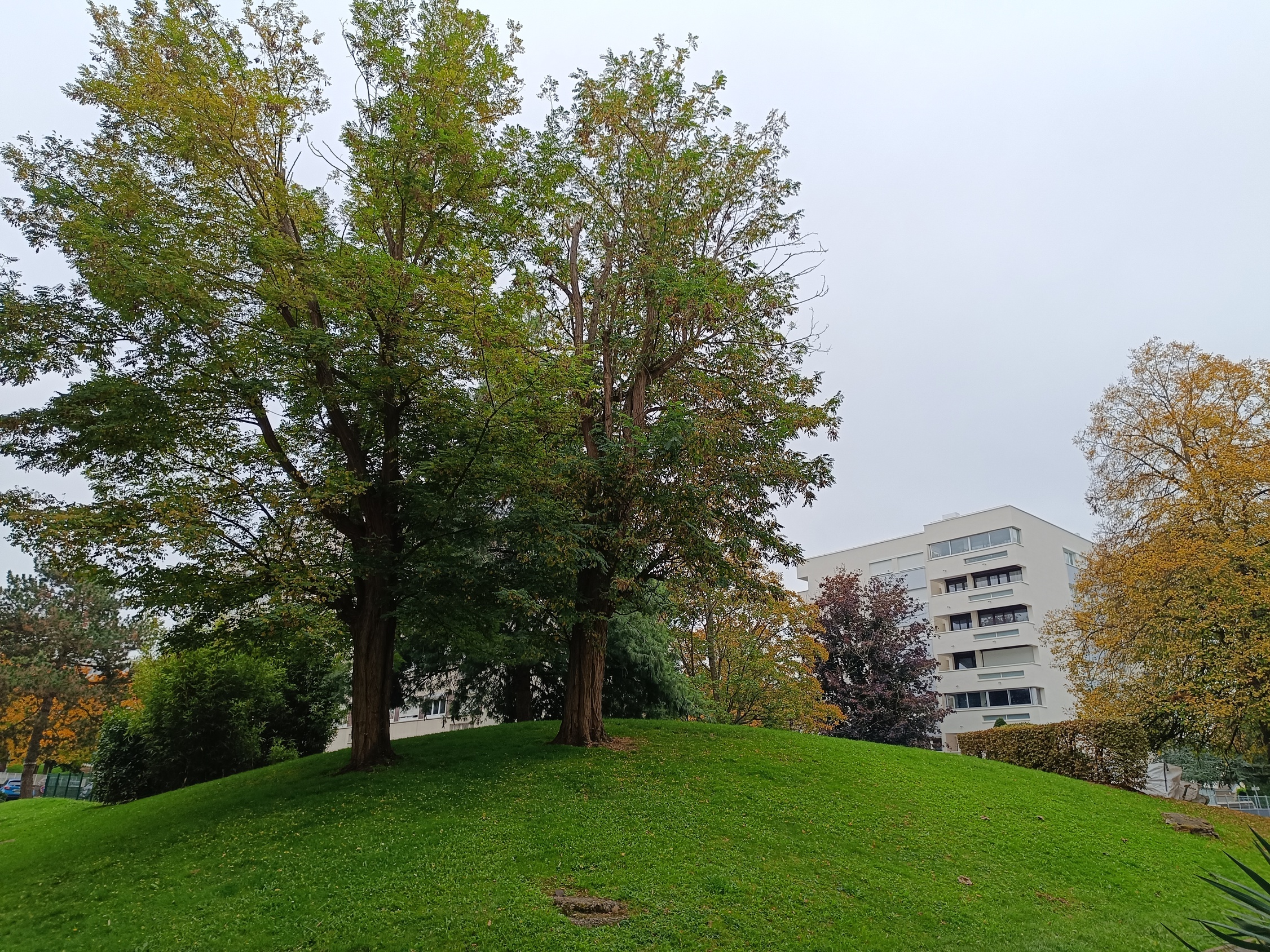 appartement 2 pièces - 53m2 à Plaisir (78370)