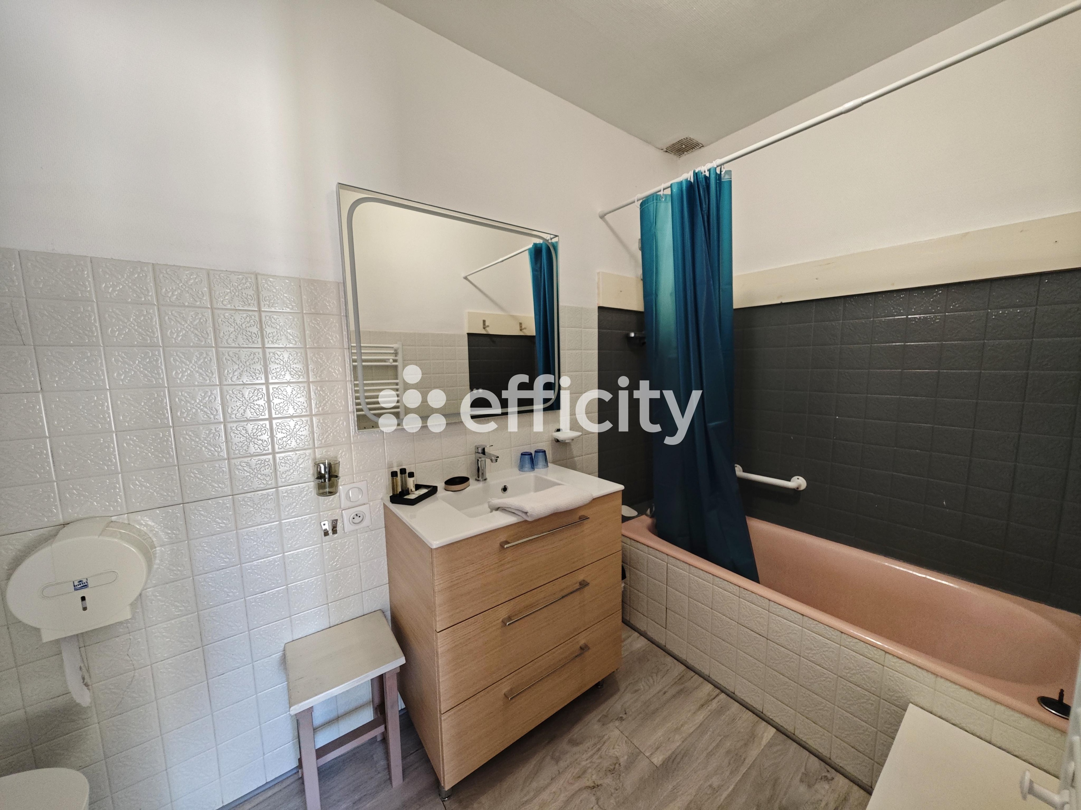 Achat immobilier Maison 20 pièces  466m2 à Plomodiern (29550) - Photo n°16