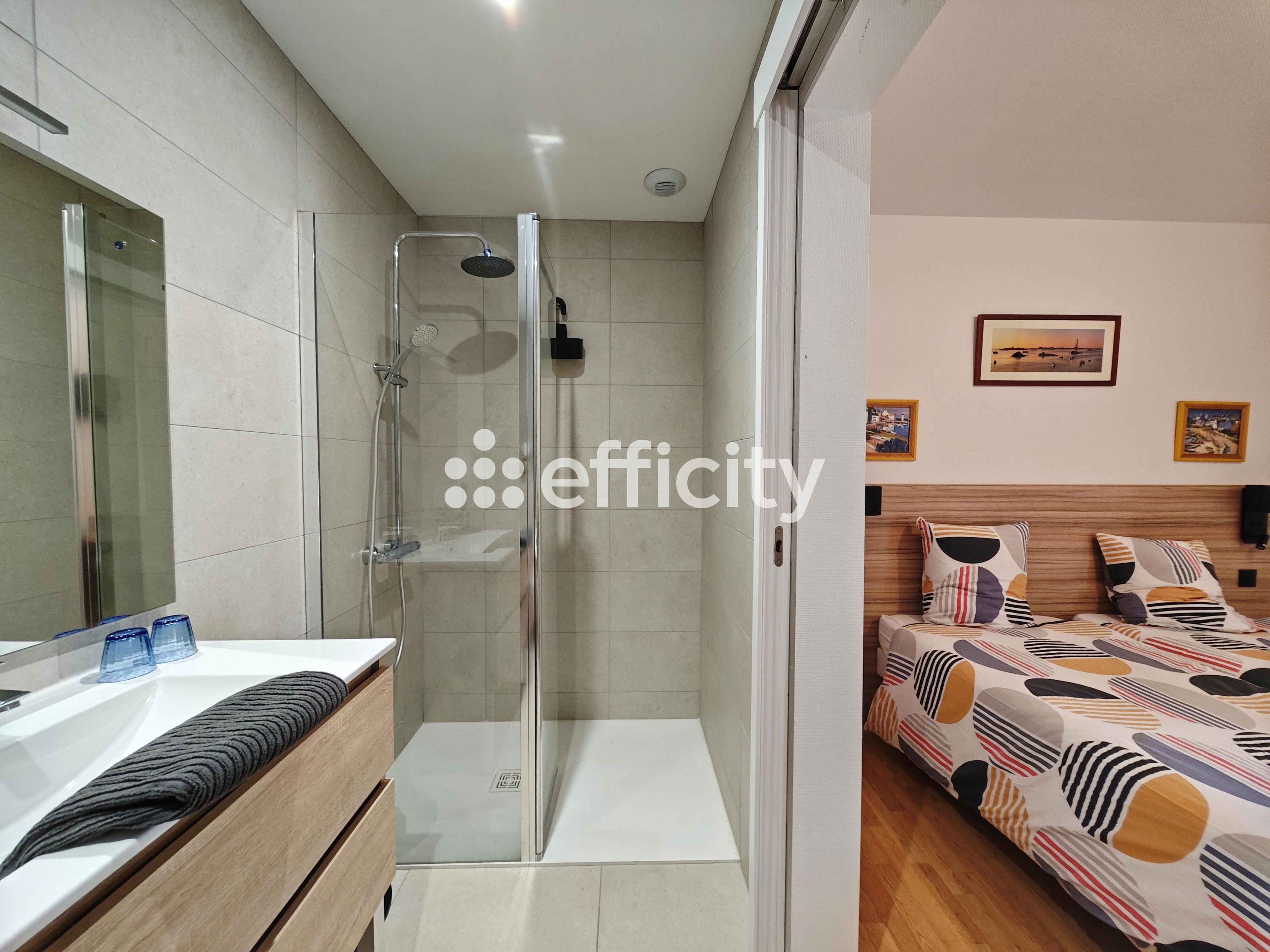 Achat immobilier Maison 20 pièces  466m2 à Plomodiern (29550) - Photo n°19