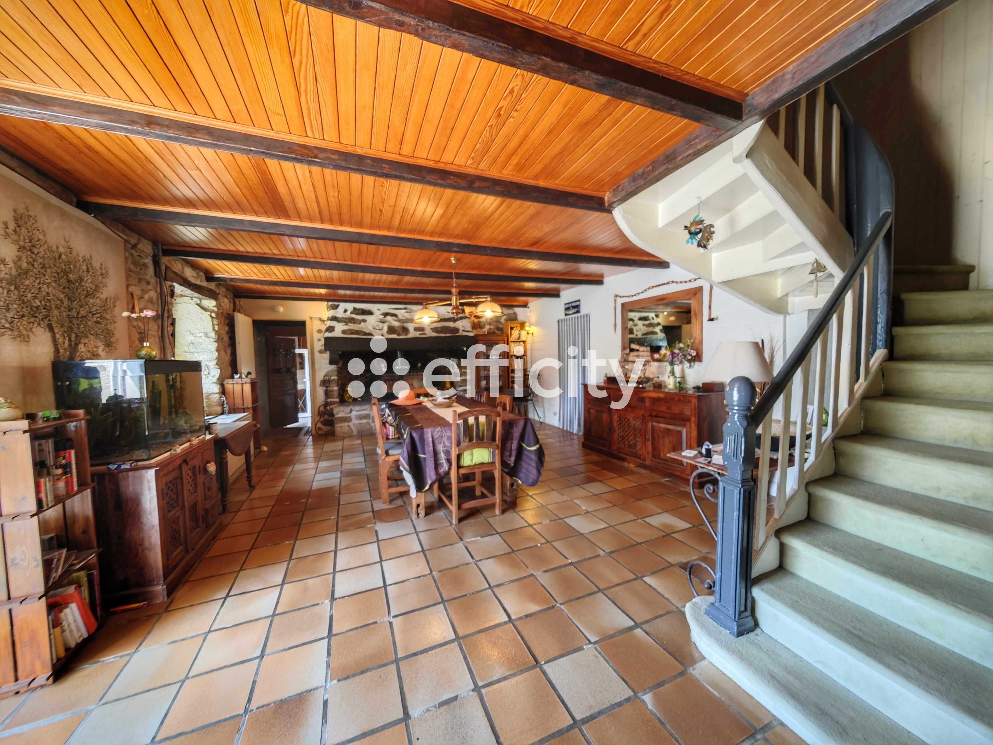 Achat immobilier Maison 20 pièces  466m2 à Plomodiern (29550) - Photo n°4