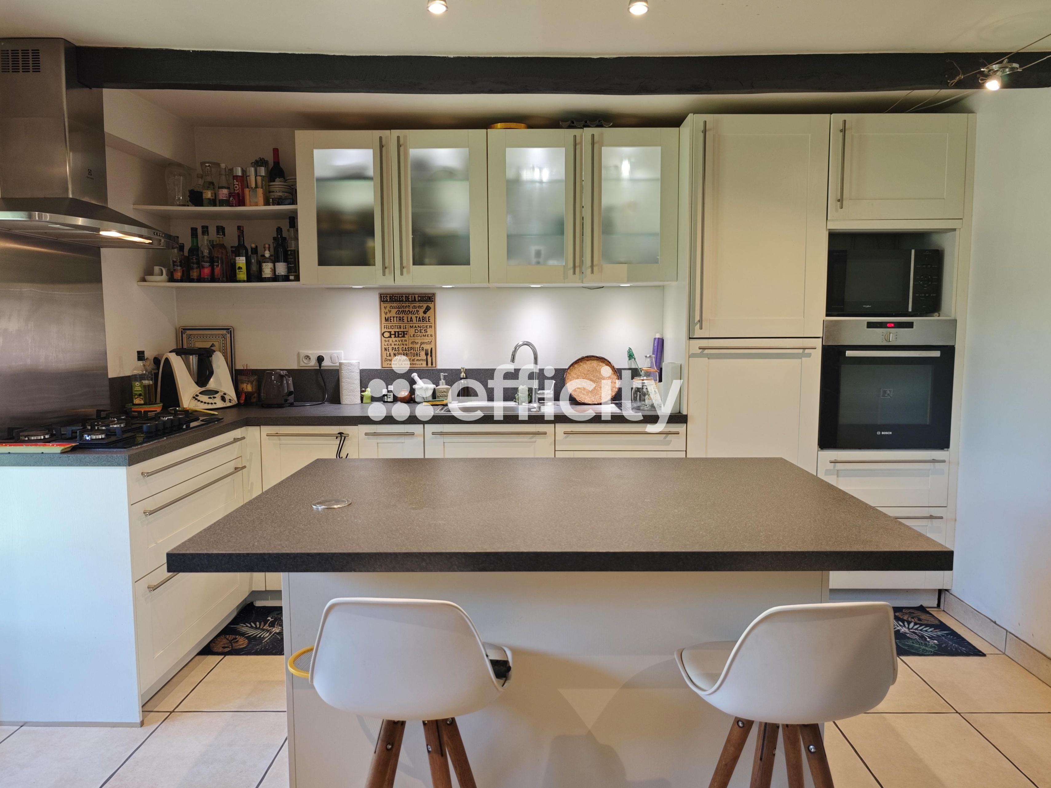 Achat immobilier Maison 20 pièces  466m2 à Plomodiern (29550) - Photo n°7