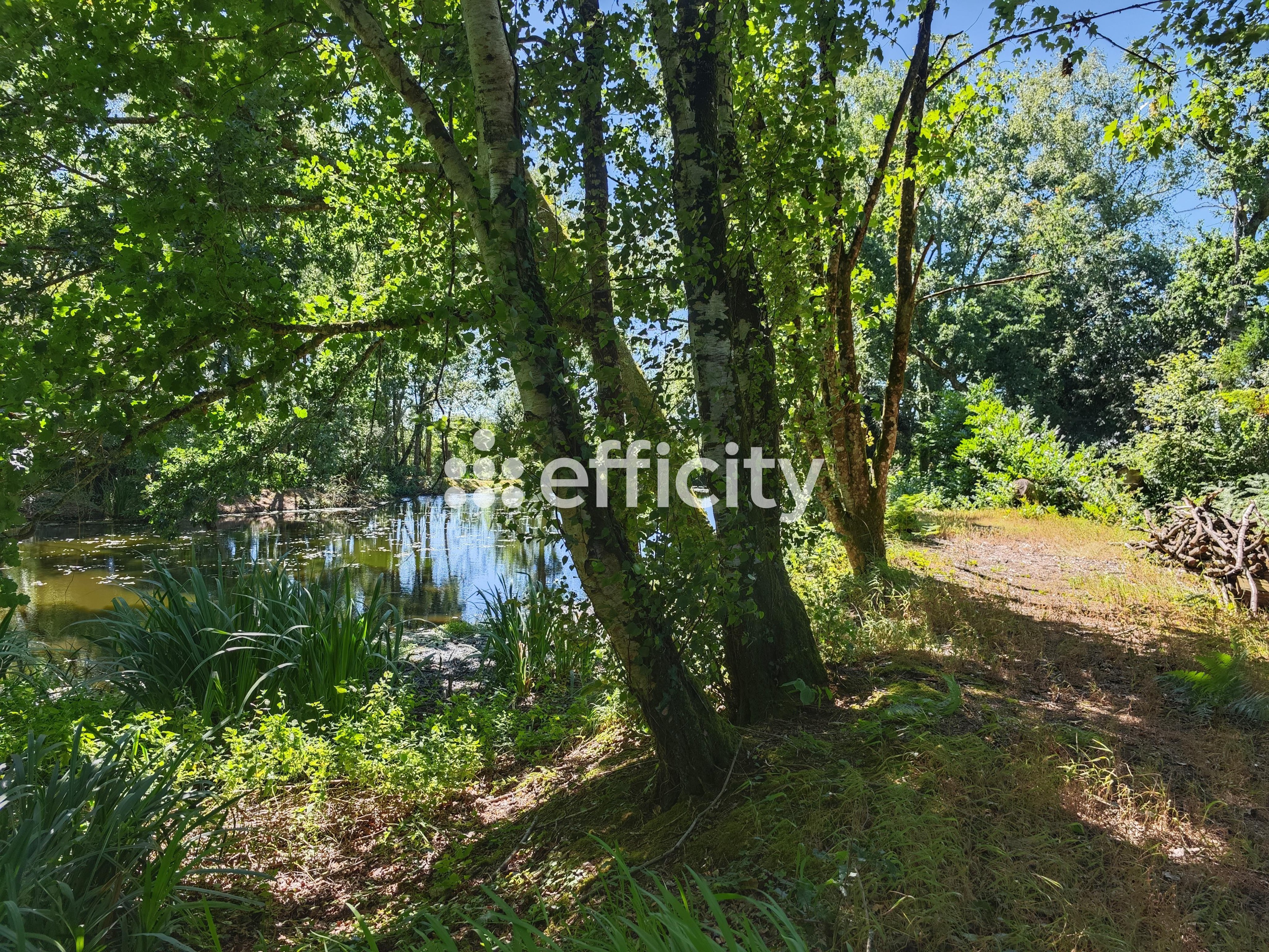 Achat immobilier Maison 20 pièces  466m2 à Plomodiern (29550) - Photo n°29