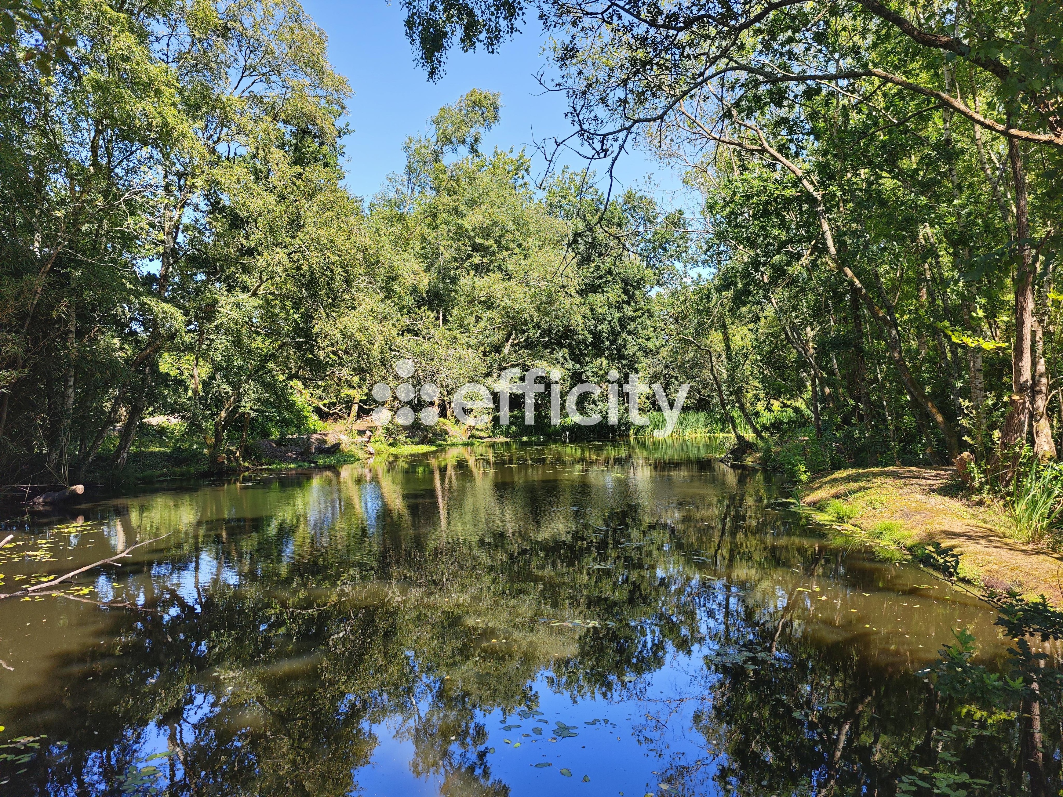 Achat immobilier Maison 20 pièces  466m2 à Plomodiern (29550) - Photo n°30