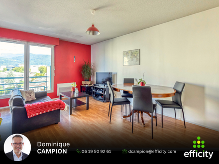 appartement 2 pièces - 46m2 à Grenoble (38100)
