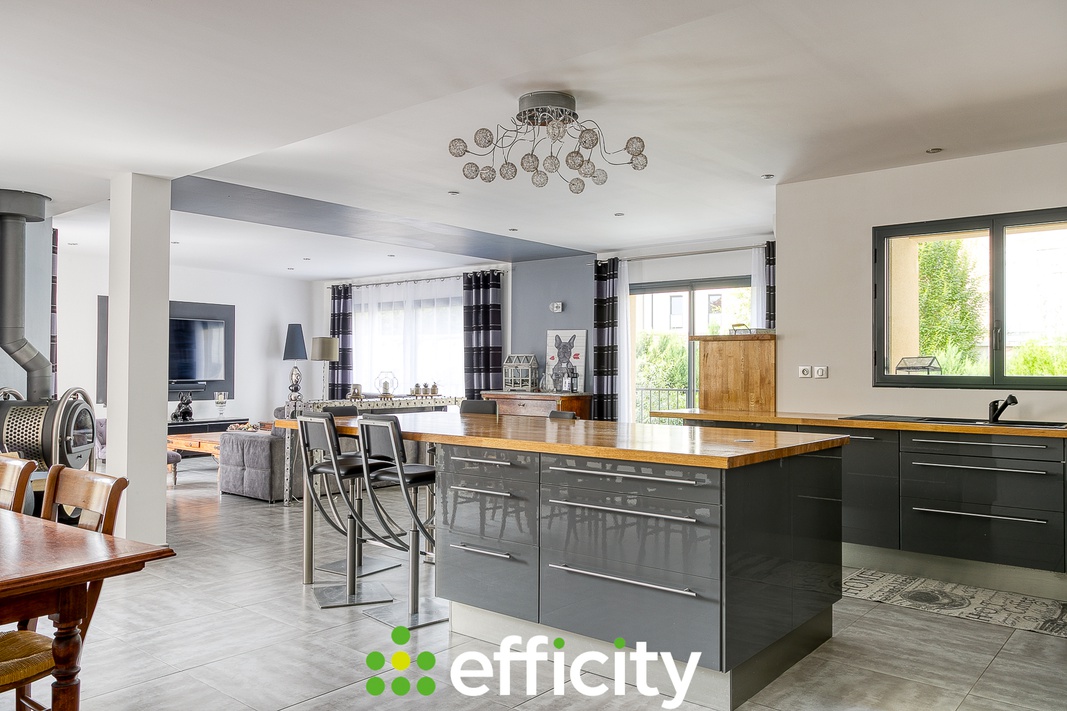 appartement 4 pièces - 137m2 à Saint-Romain-en-Gal (69560)