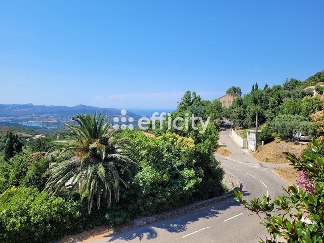 appartement 3 pièces - 62,0m2 à Olmeta-di-Tuda (20232)