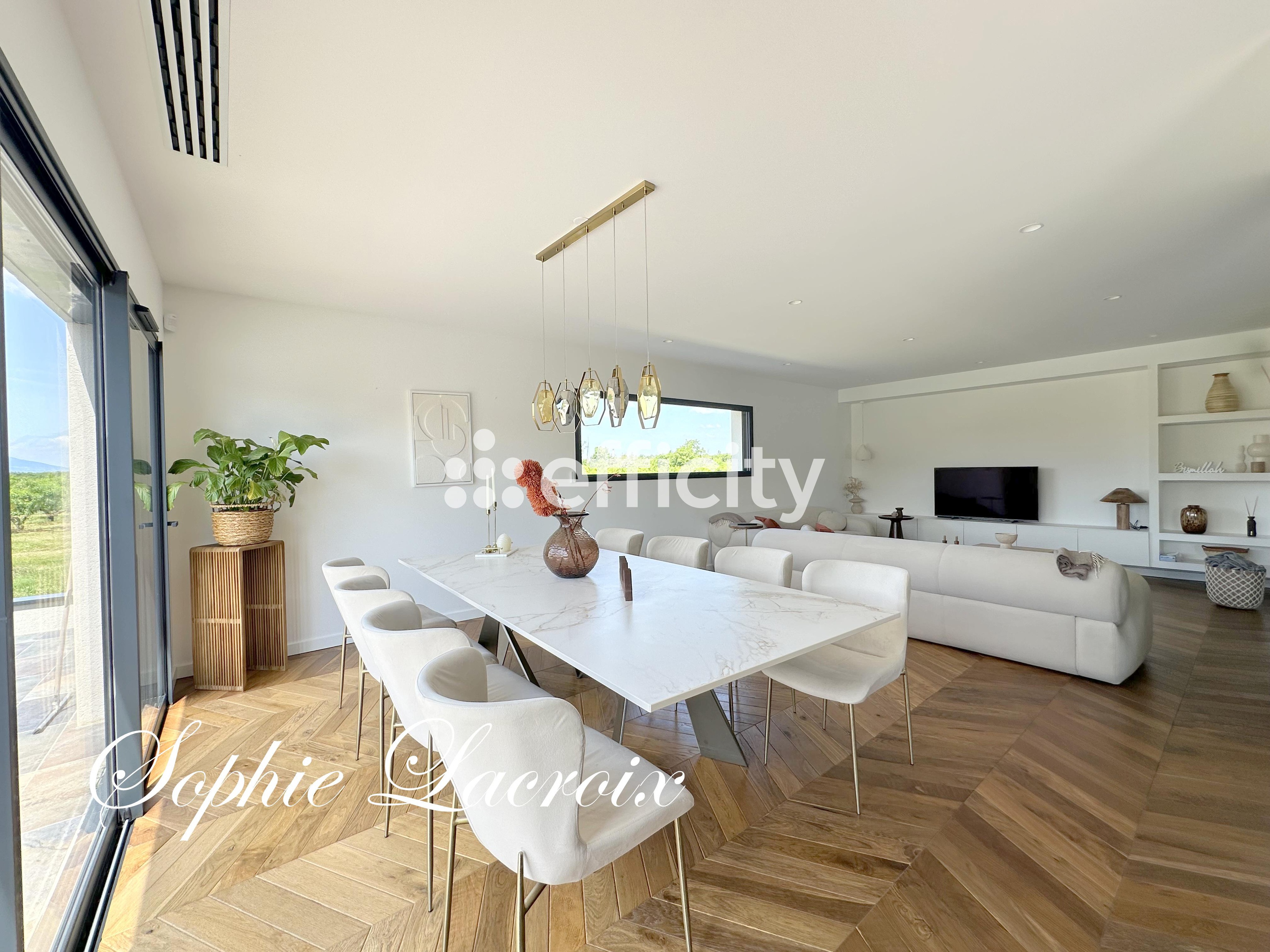 Achat immobilier Maison 7 pièces  191m2 à Sablons (38550) - Photo n°4