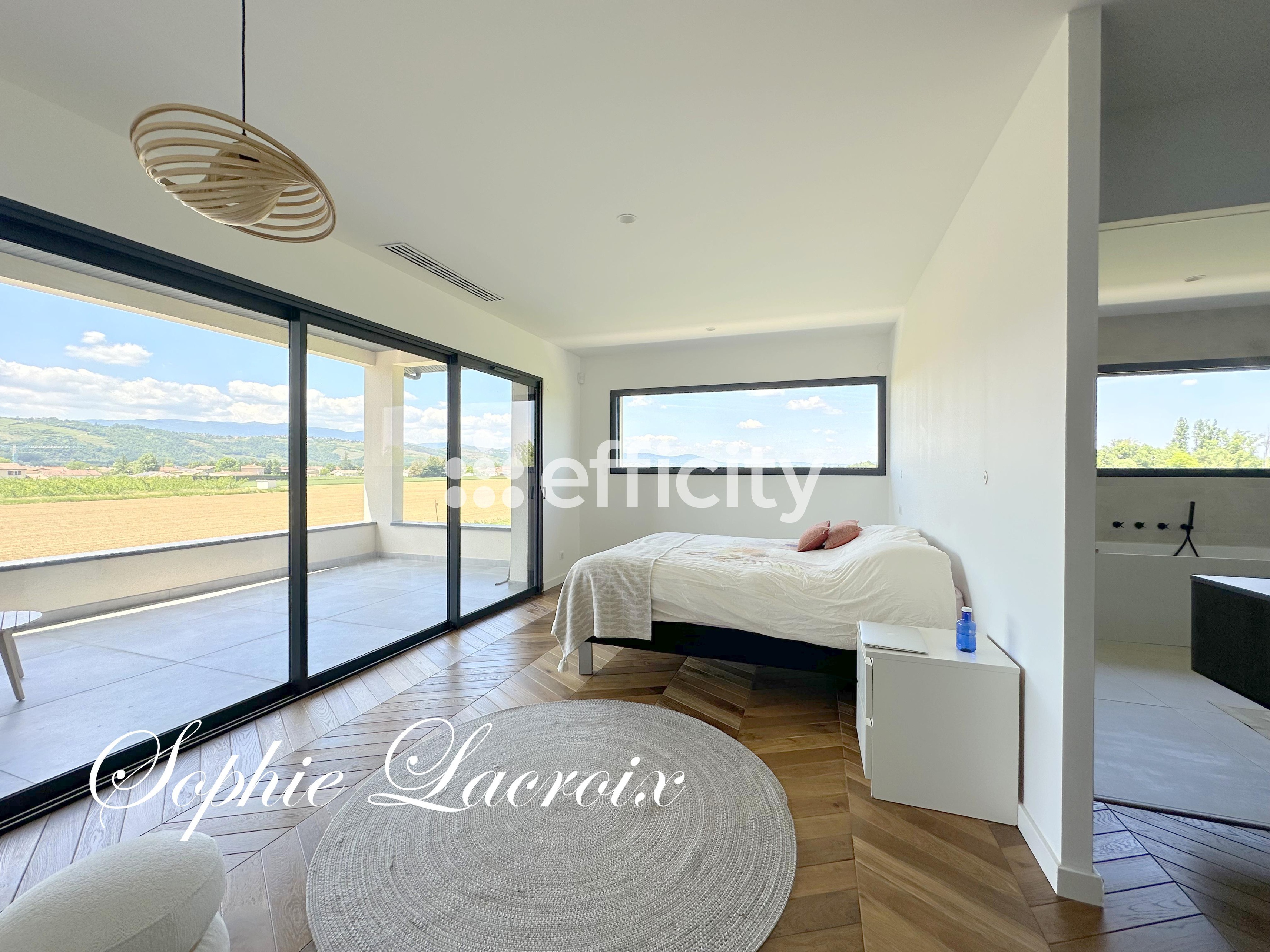 Achat immobilier Maison 7 pièces  191m2 à Sablons (38550) - Photo n°8