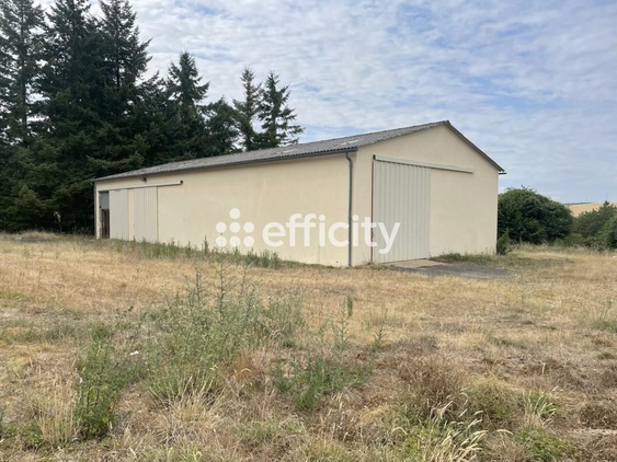 local-commercial 4 pièces - 300,0m2 à Cherré-Au (72400)