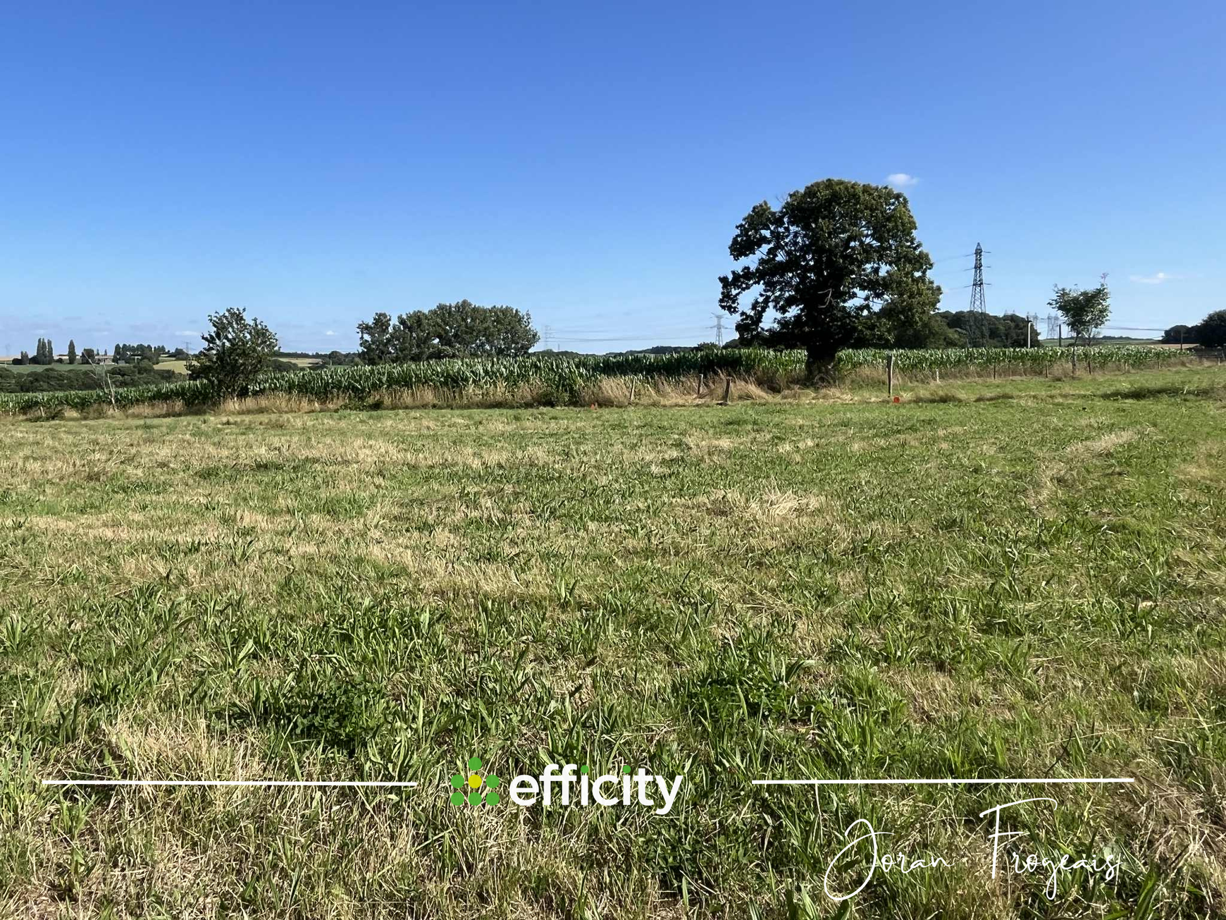 Achat immobilier Terrain   1545m2 à Saint-Laurent-de-Terregatte (50240) - Photo n°1