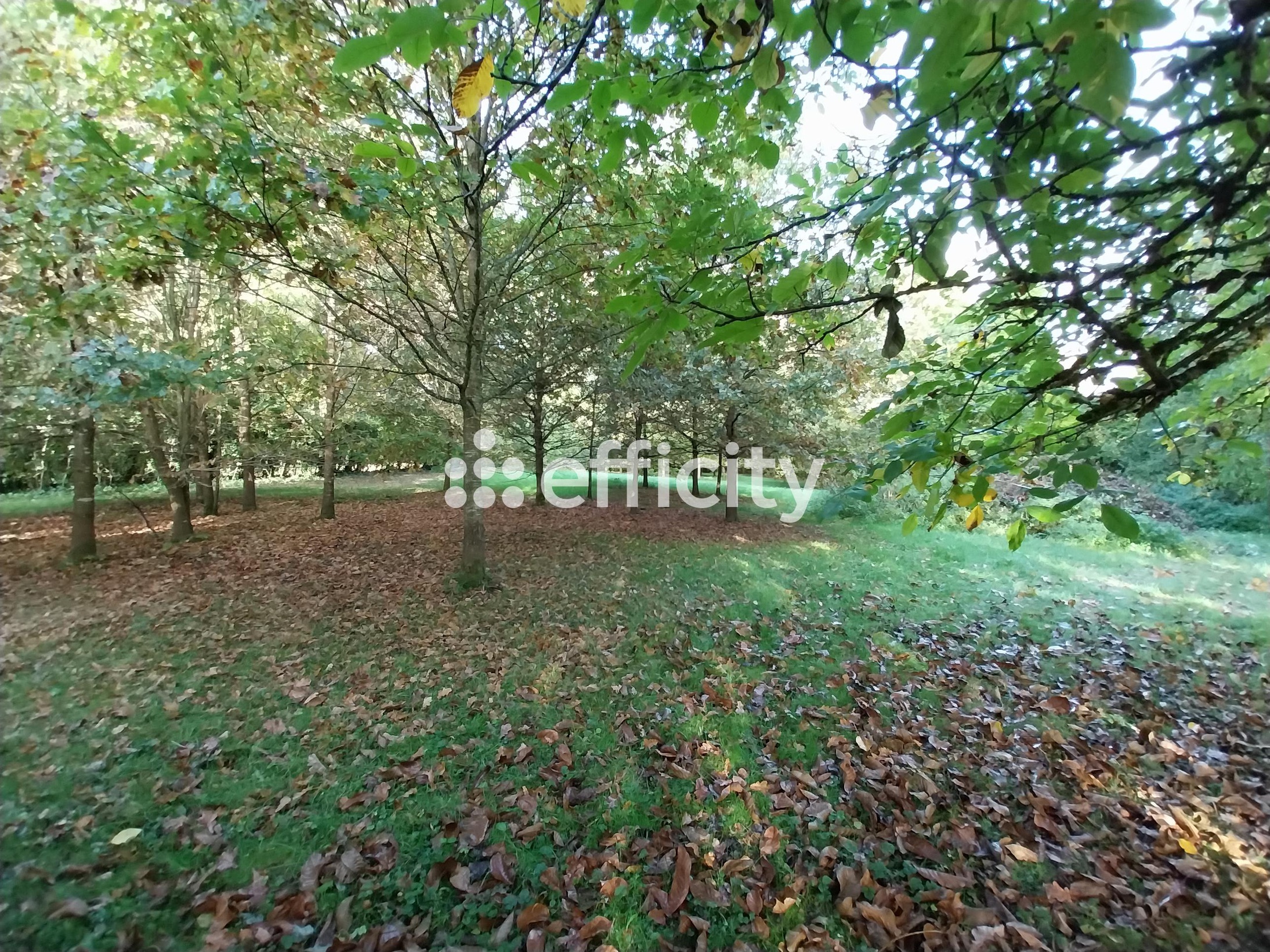 Achat immobilier Maison 7 pièces  200m2 à Bailleau-Armenonville (28320) - Photo n°14