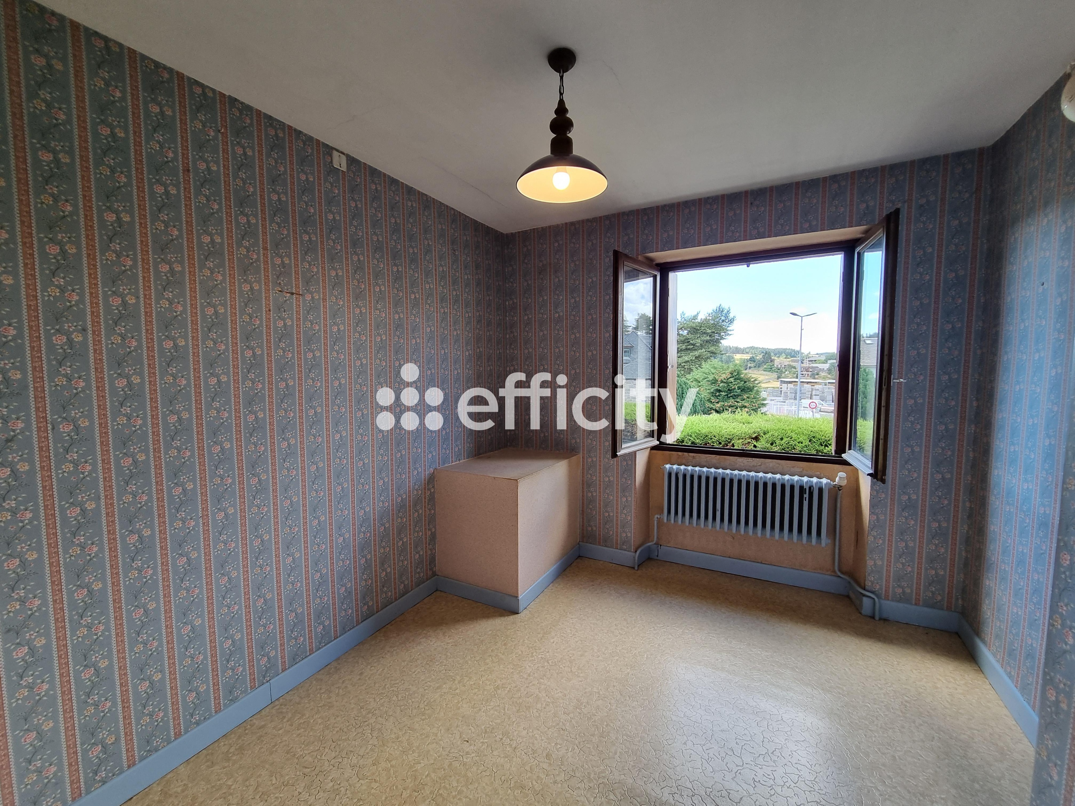 Achat immobilier Maison 9 pièces  126m2 à Saint-Chély-d'Apcher (48200) - Photo n°13