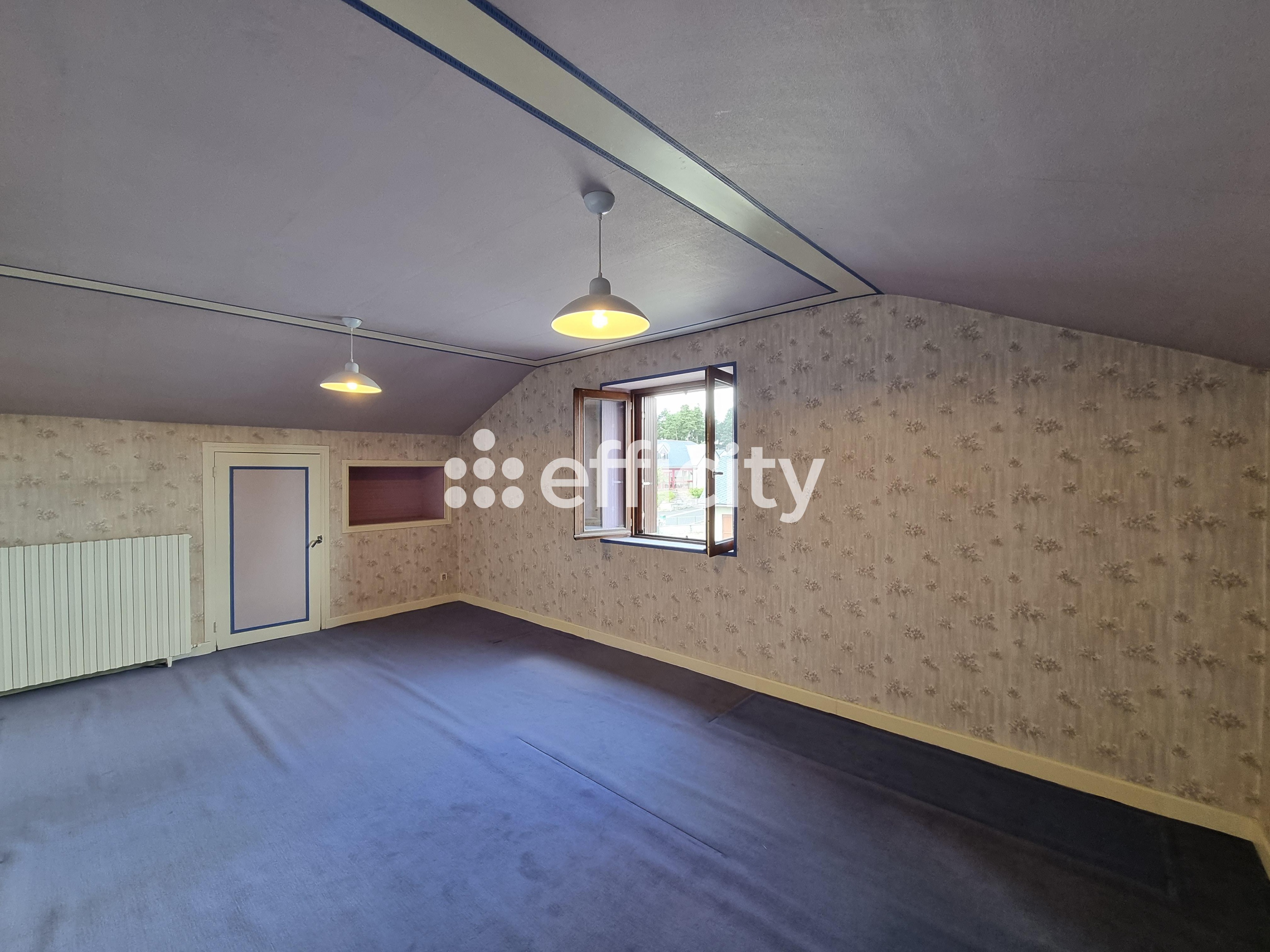 Achat immobilier Maison 9 pièces  126m2 à Saint-Chély-d'Apcher (48200) - Photo n°12