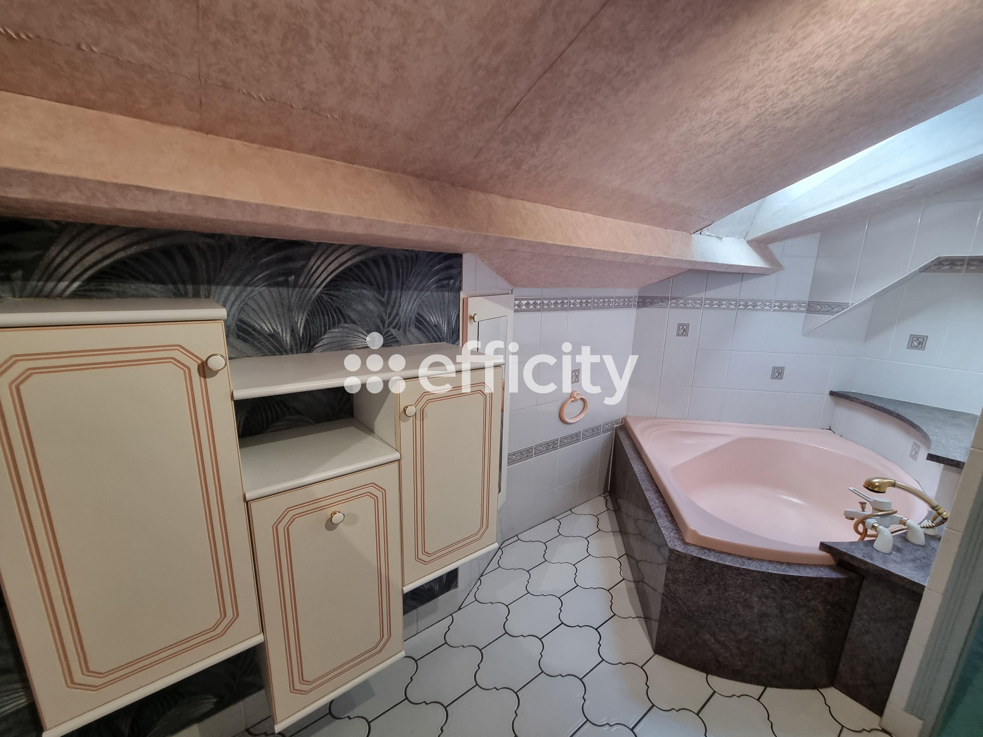 Achat immobilier Maison 9 pièces  126m2 à Saint-Chély-d'Apcher (48200) - Photo n°17