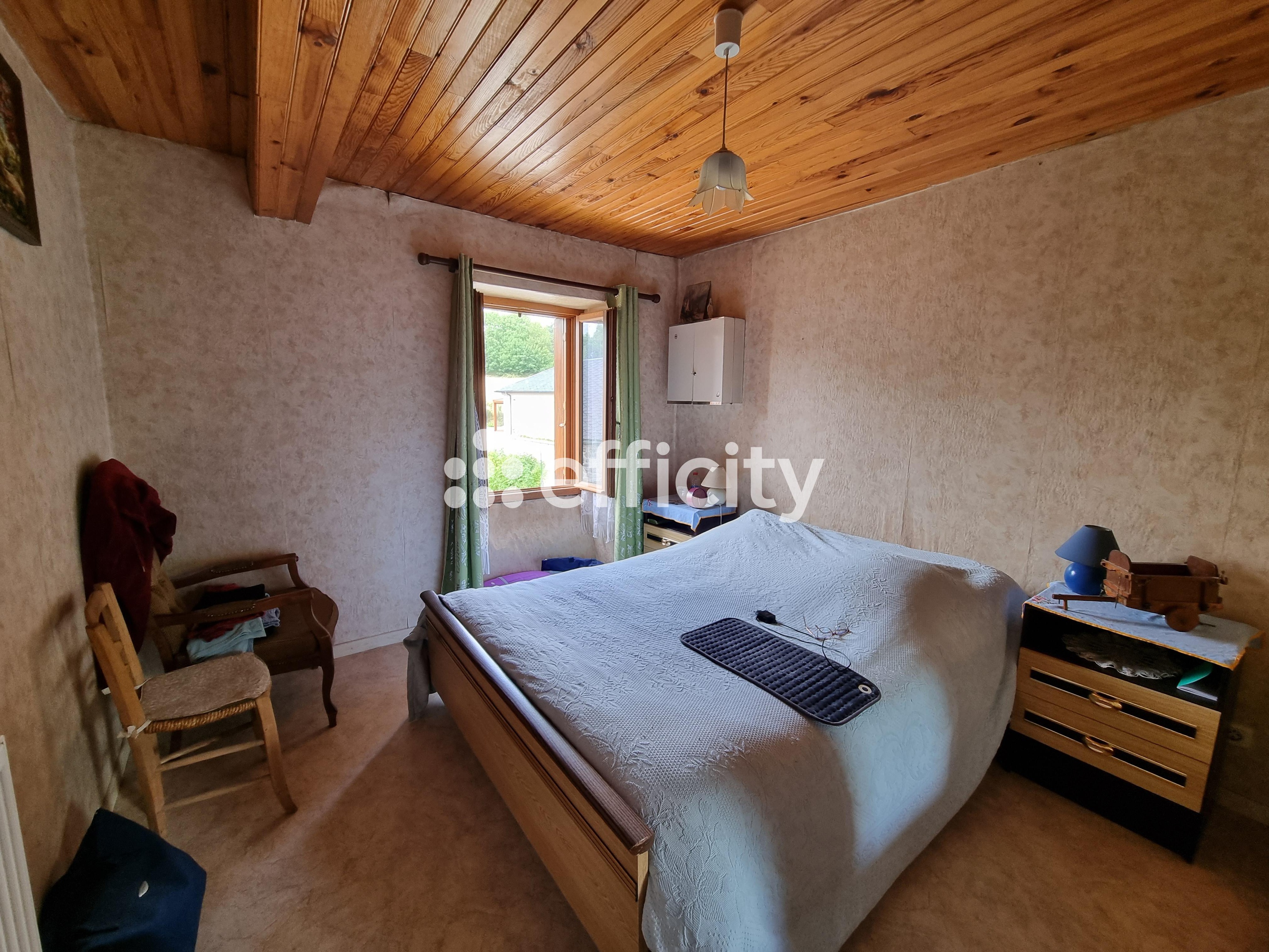 Achat immobilier Maison 10 pièces  141m2 à Saint-Alban-sur-Limagnole (48120) - Photo n°19