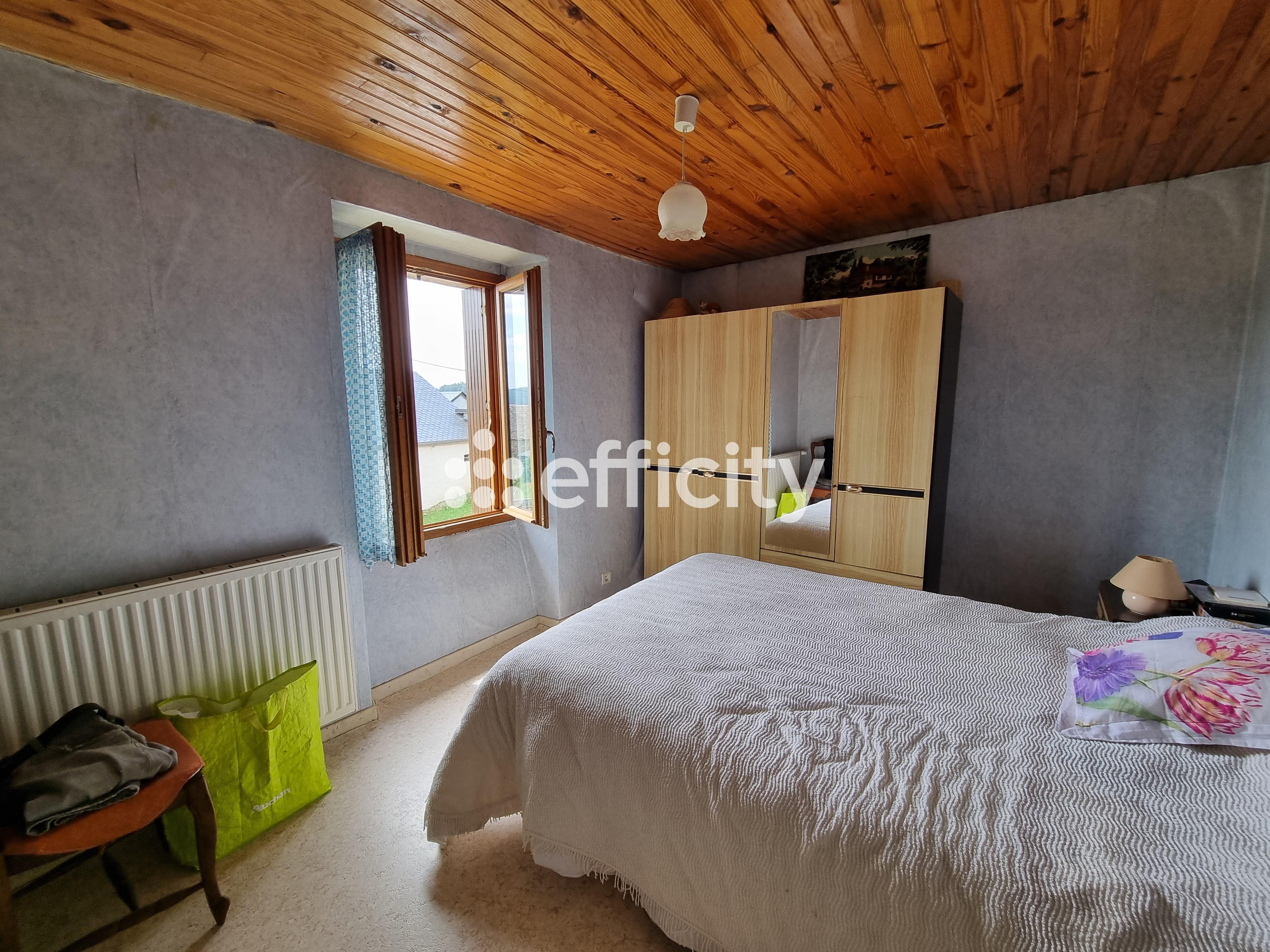 Achat immobilier Maison 10 pièces  141m2 à Saint-Alban-sur-Limagnole (48120) - Photo n°20