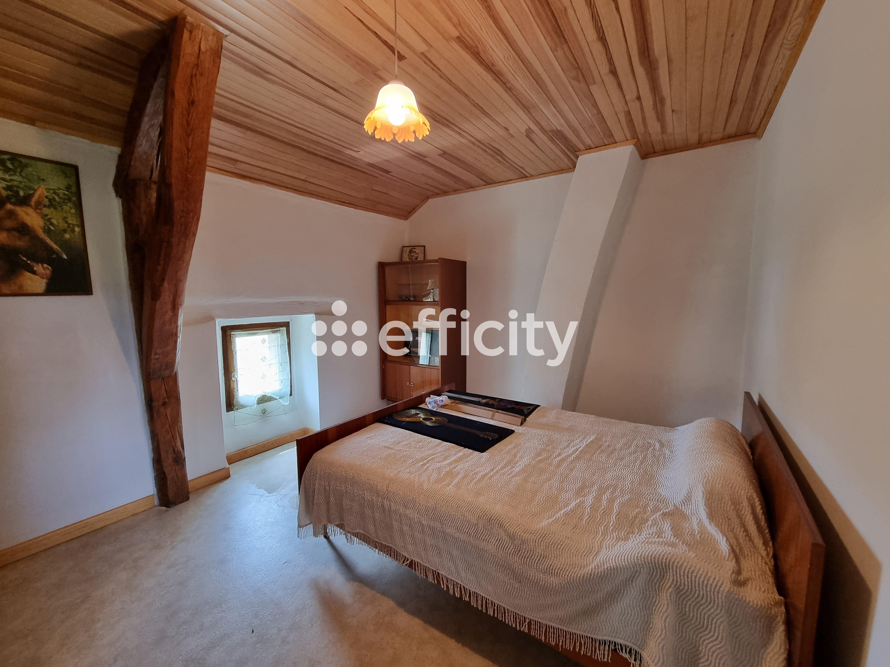Achat immobilier Maison 10 pièces  141m2 à Saint-Alban-sur-Limagnole (48120) - Photo n°12