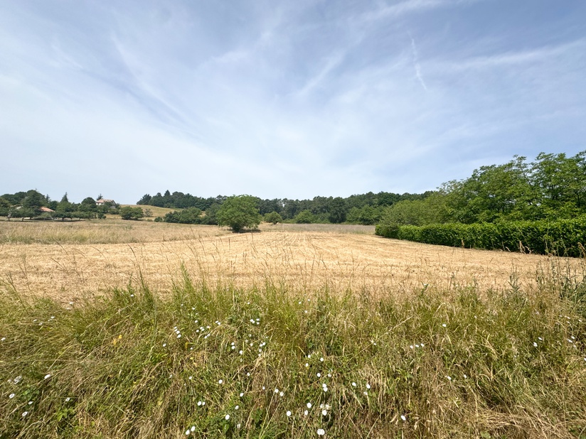 terrain  - 2122m2 à Saint-Germain-du-Salembre (24190)