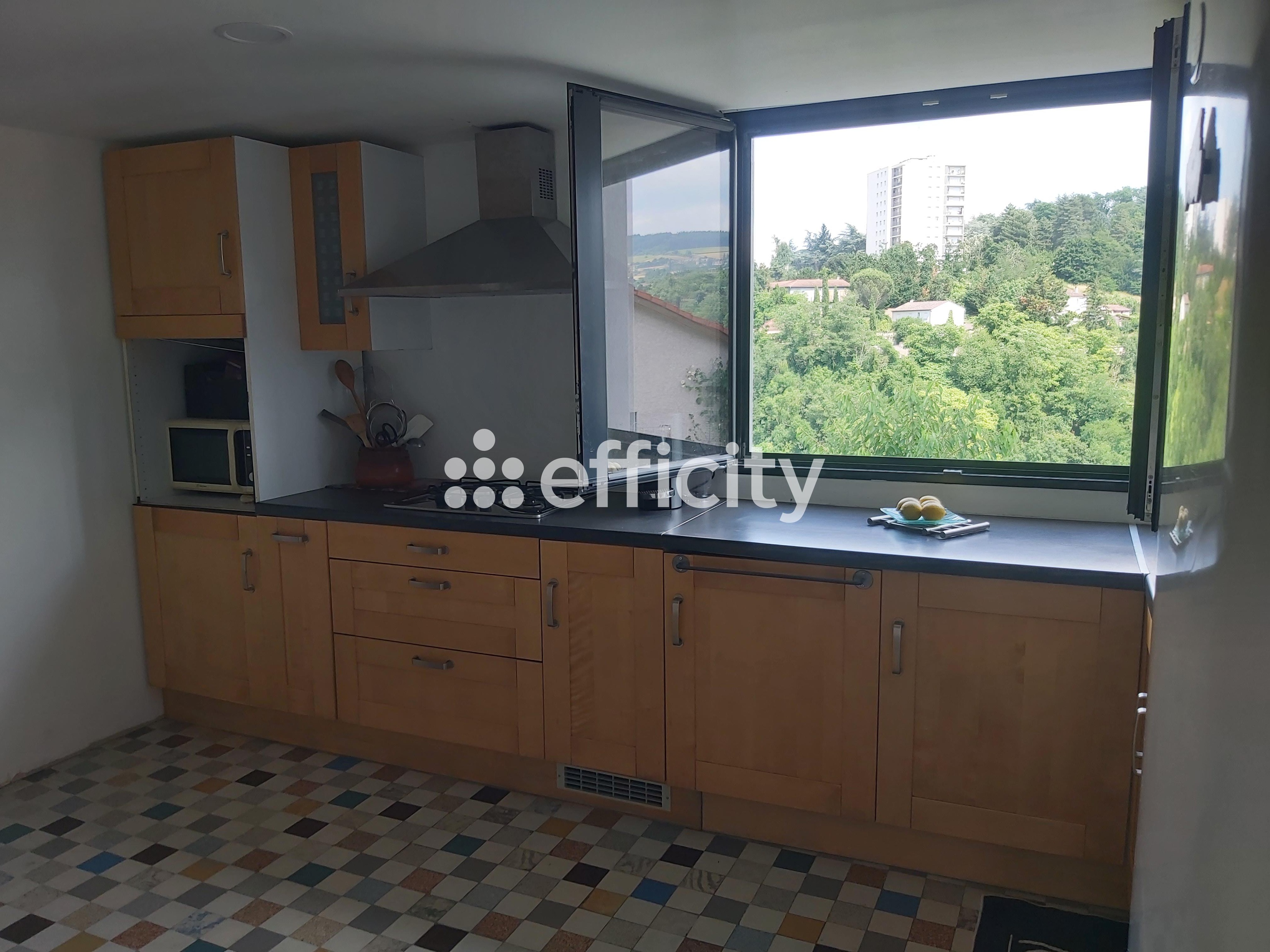 Achat immobilier Maison 6 pièces  124m2 à Rive-de-Gier (42800) - Photo n°4