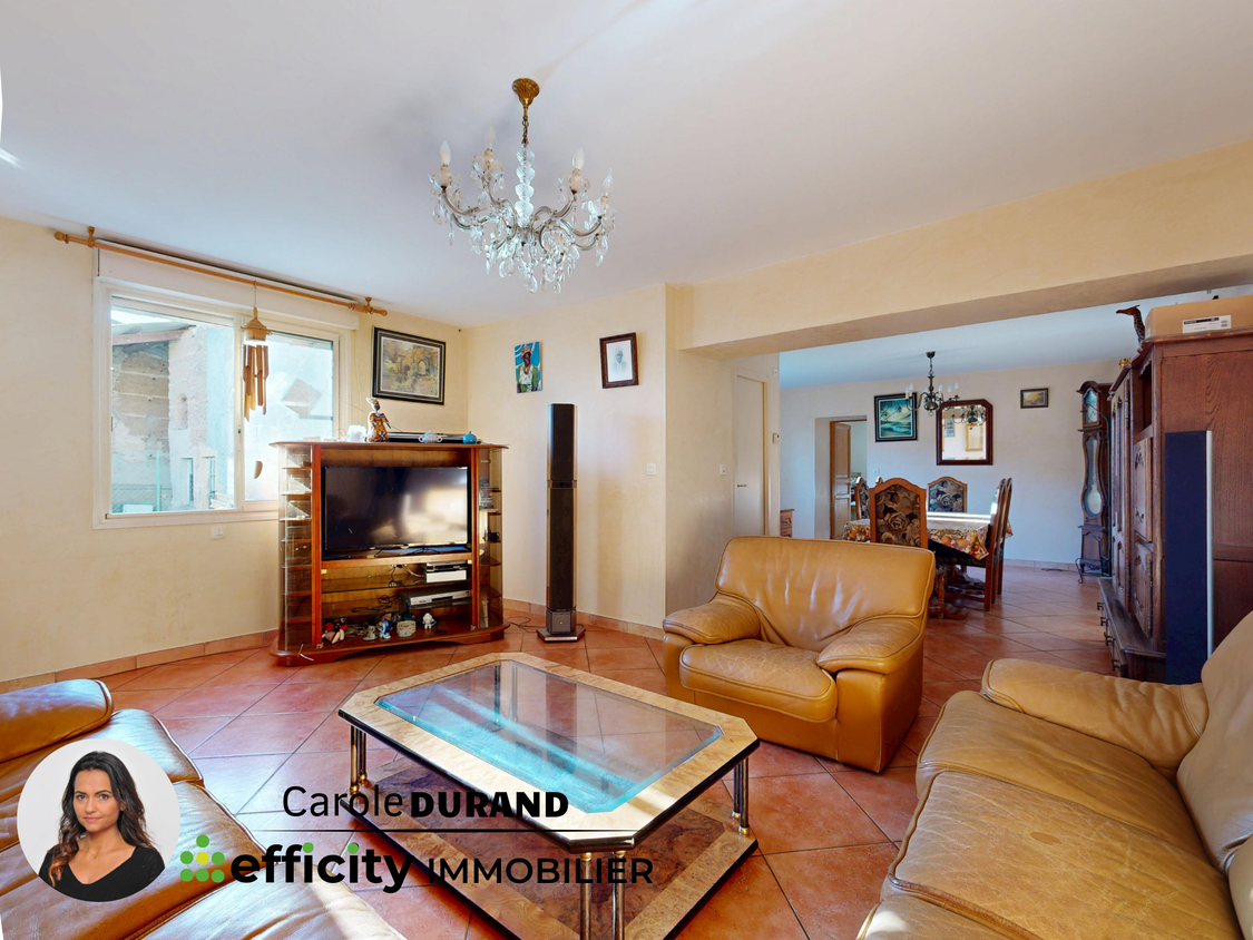 maison 10 pièces - 222m2 à Satolas-et-Bonce (38290)