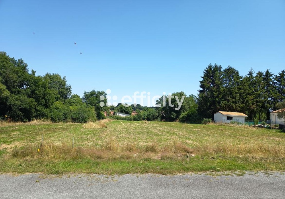 Achat immobilier Terrain   522m2 à Pont-Saint-Martin (44860) - Photo n°1