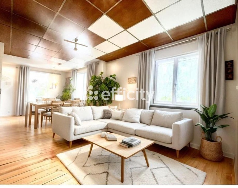 Achat immobilier Maison 8 pièces  235m2 à Brunstatt-Didenheim (68350) - Photo n°5
