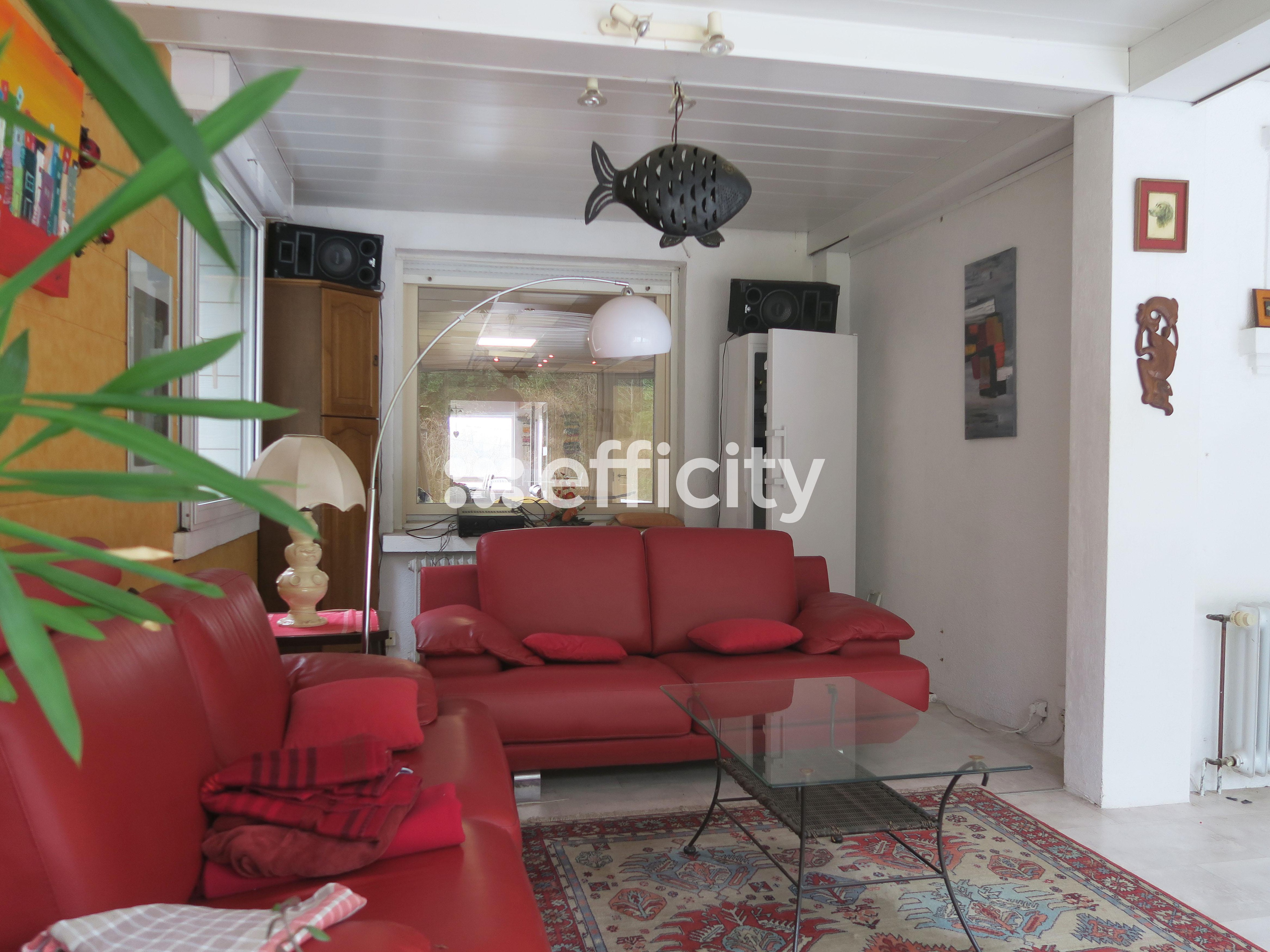 Achat immobilier Maison 8 pièces  235m2 à Brunstatt-Didenheim (68350) - Photo n°7