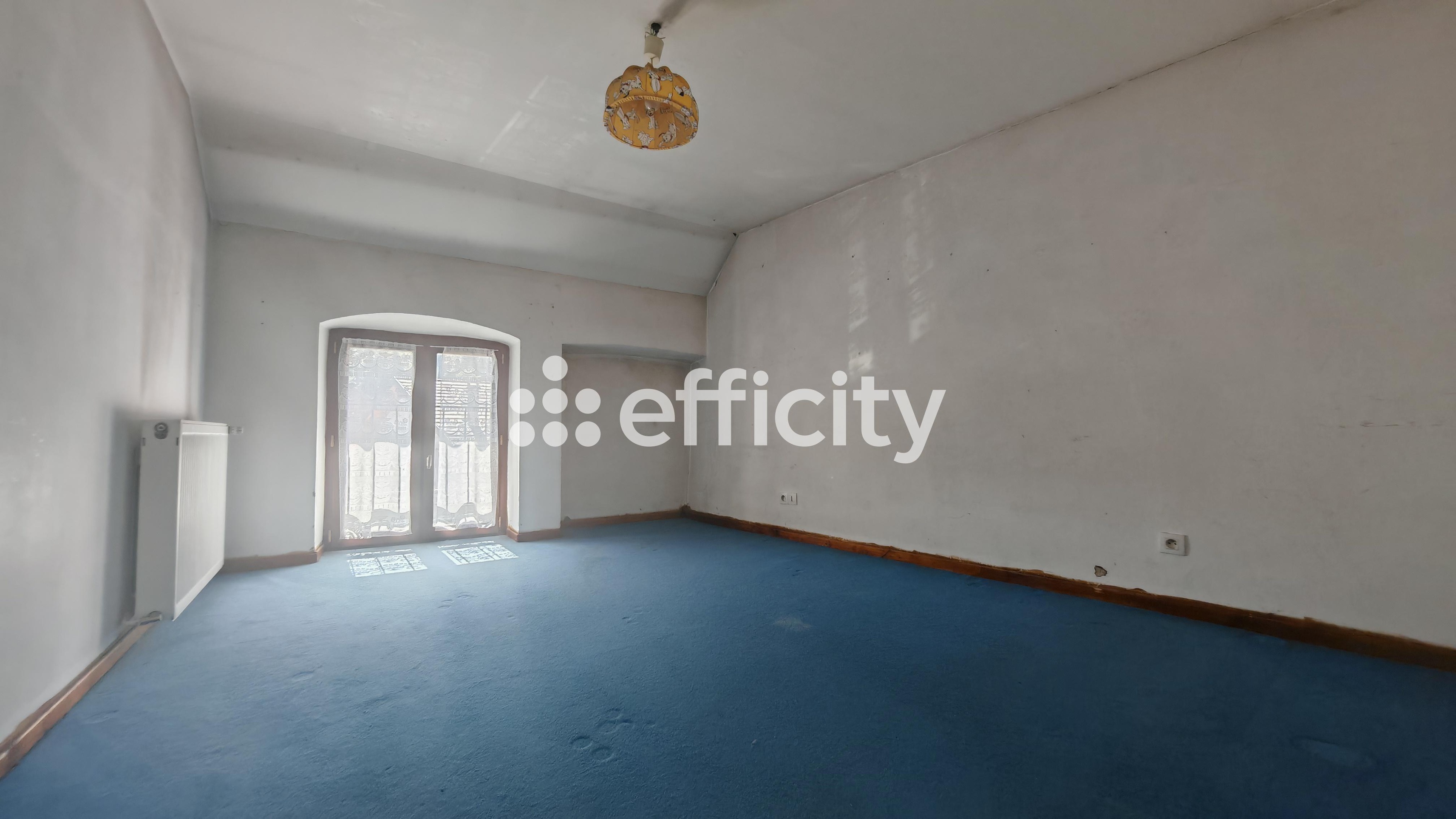 Achat immobilier Immeuble 4 pièces  139m2 à Saint-Joseph-de-Rivière (38134) - Photo n°5