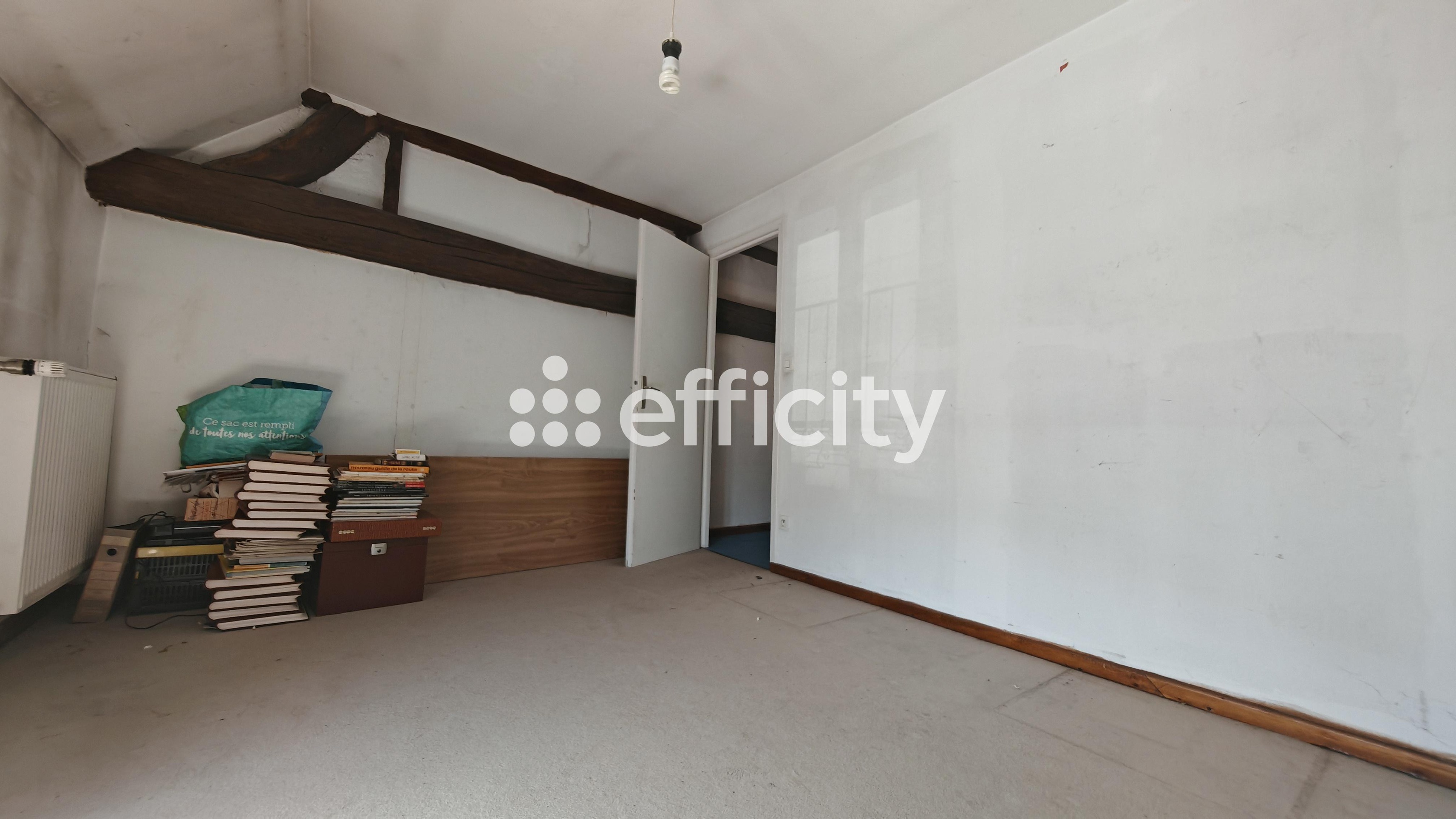 Achat immobilier Immeuble 4 pièces  139m2 à Saint-Joseph-de-Rivière (38134) - Photo n°11