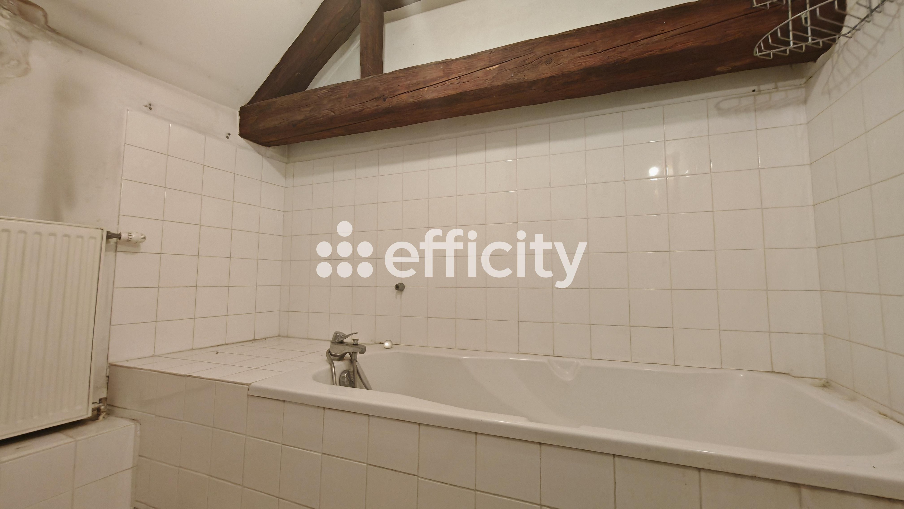 Achat immobilier Immeuble 4 pièces  139m2 à Saint-Joseph-de-Rivière (38134) - Photo n°8