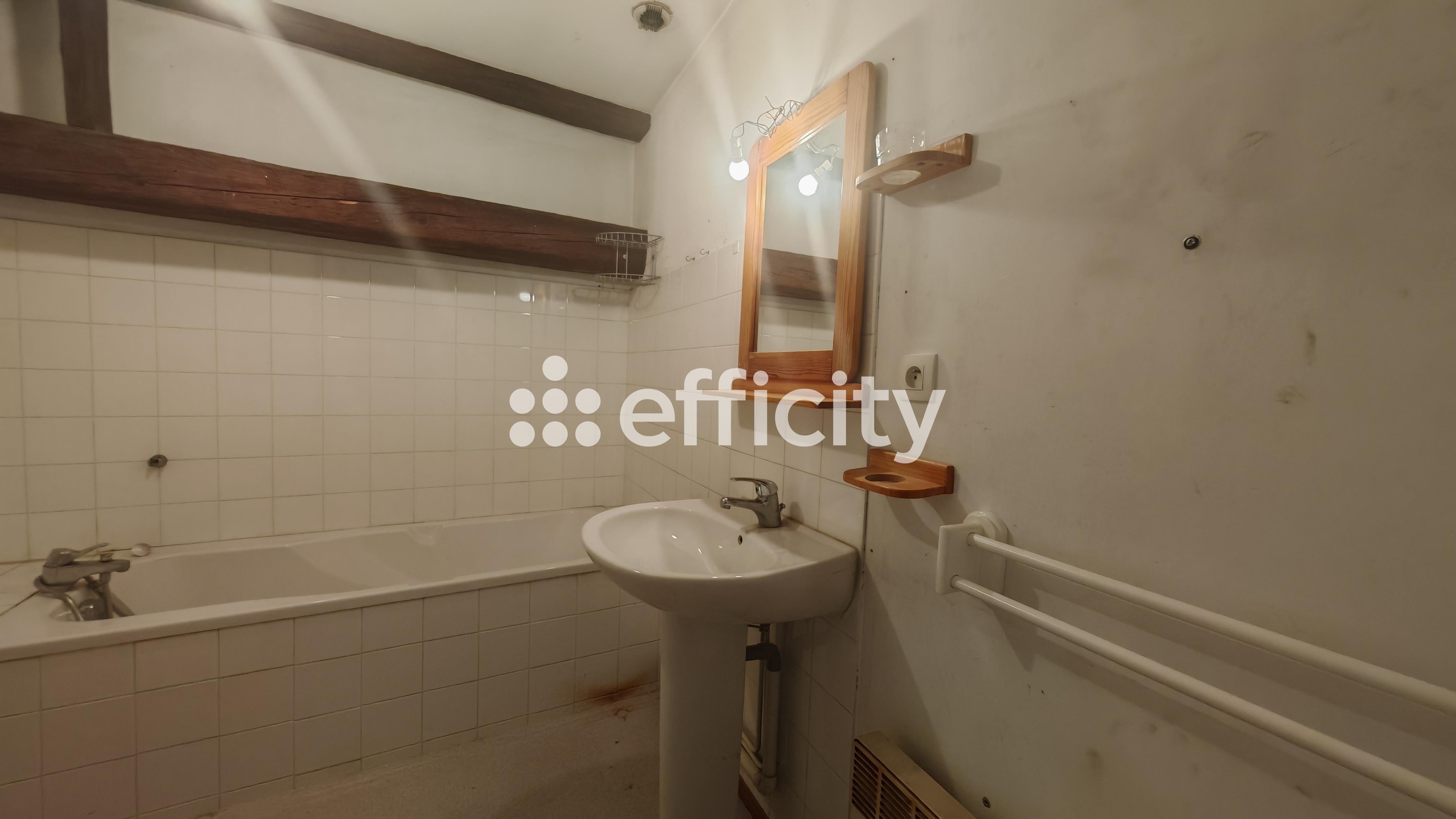 Achat immobilier Immeuble 4 pièces  139m2 à Saint-Joseph-de-Rivière (38134) - Photo n°10