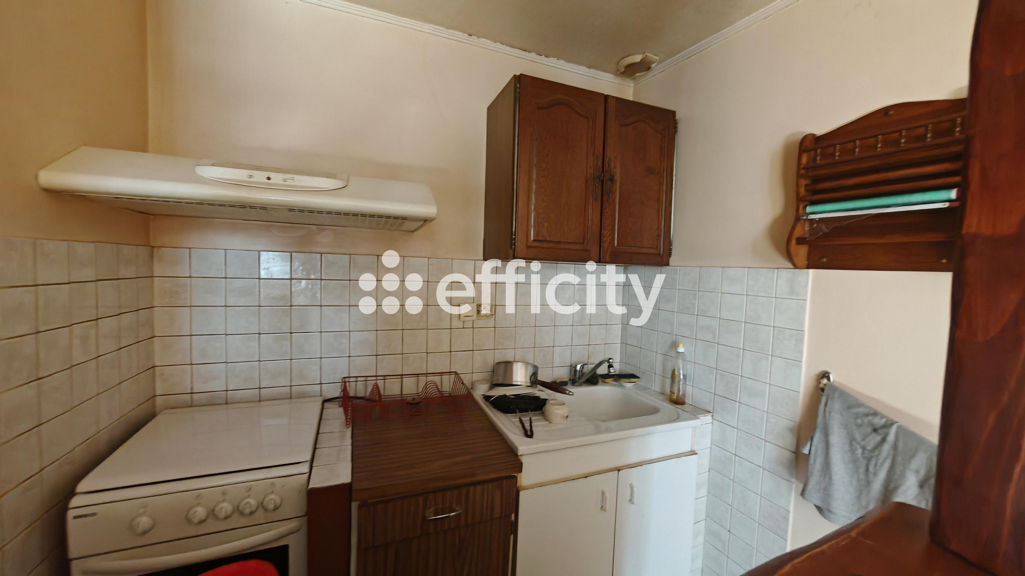 Achat immobilier Immeuble 4 pièces  139m2 à Saint-Joseph-de-Rivière (38134) - Photo n°9