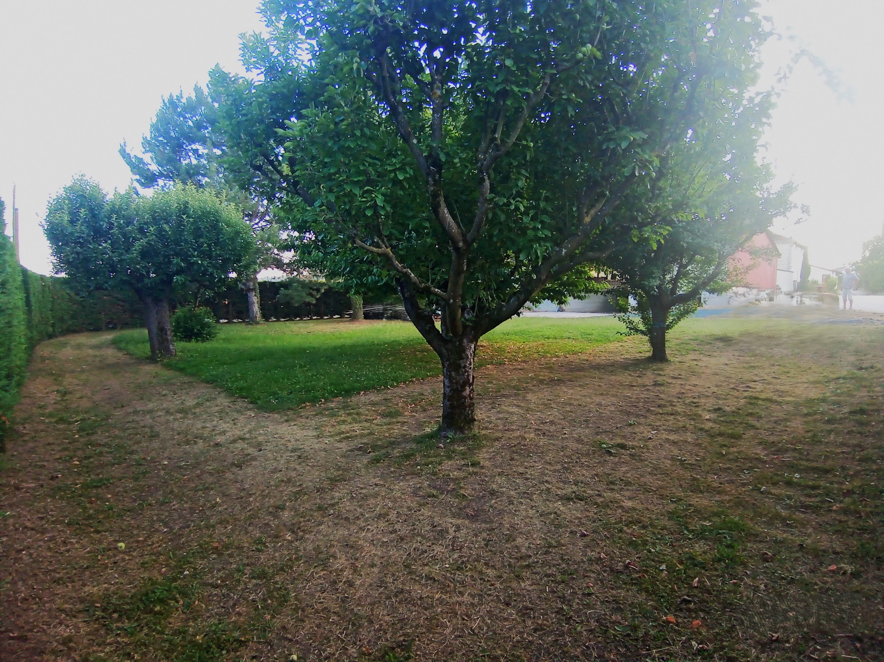 terrain  - 1400m2 à Saint-Uze (26240)