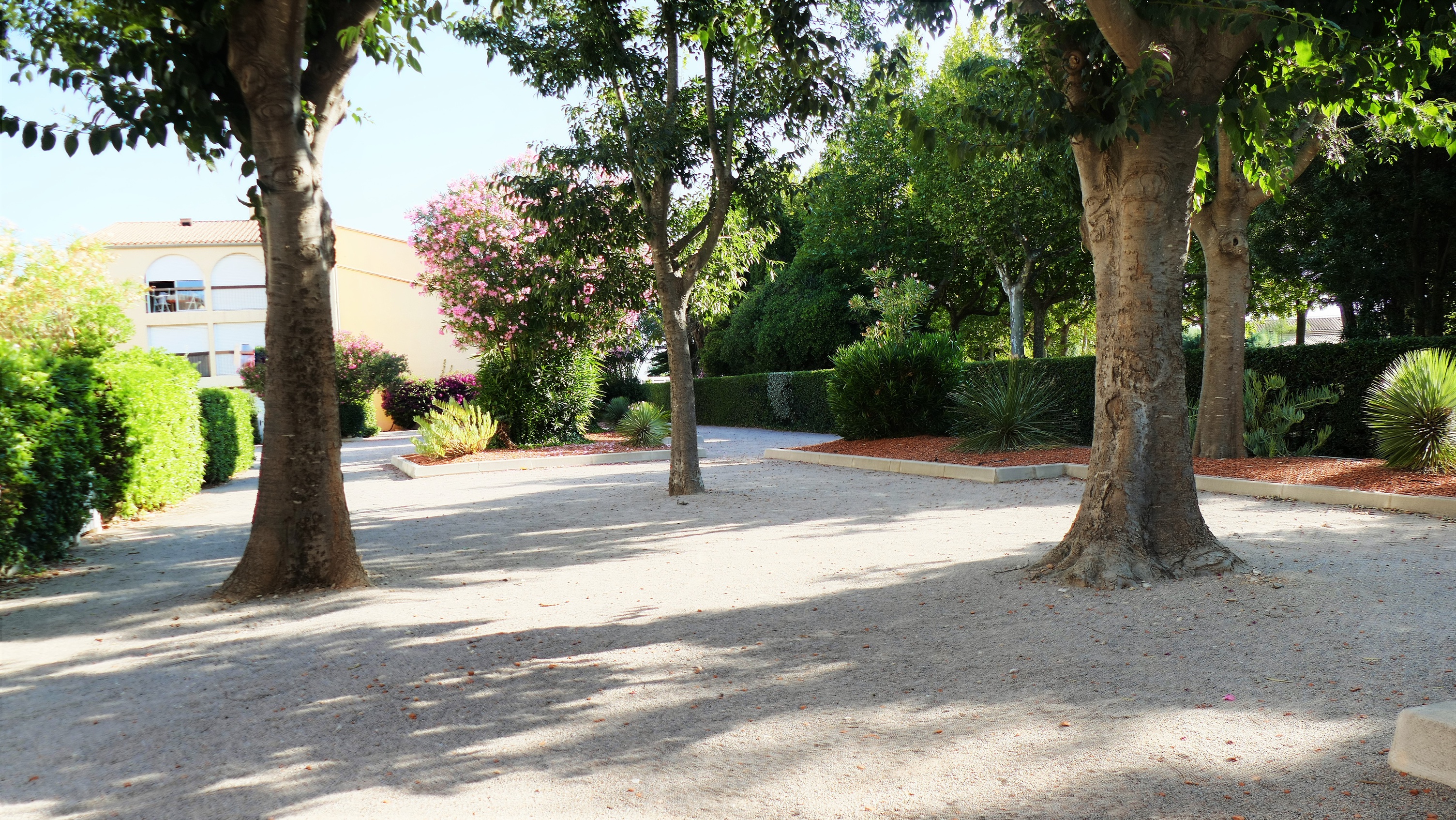 appartement 2 pièces - 39m2 à Saint-Cyprien (66750)