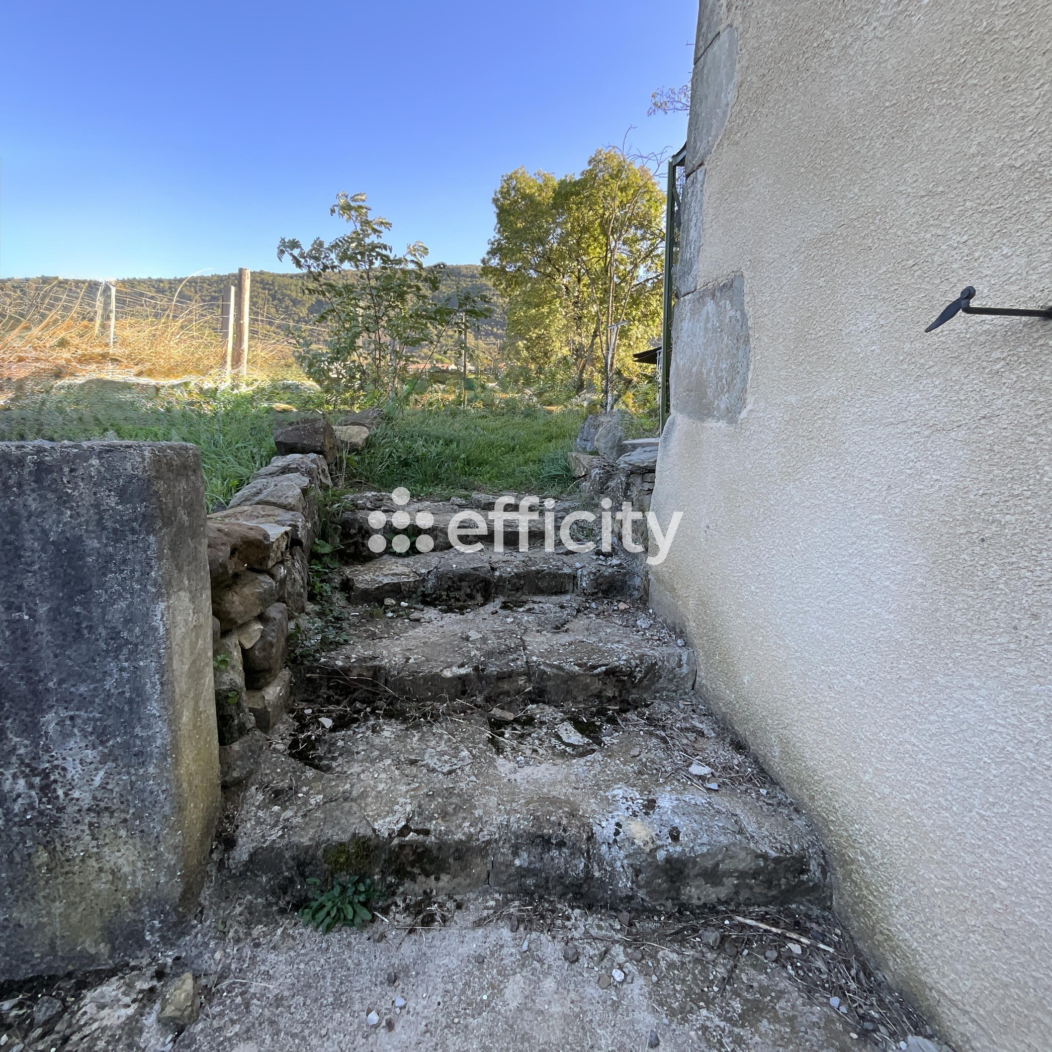 Photo illustration