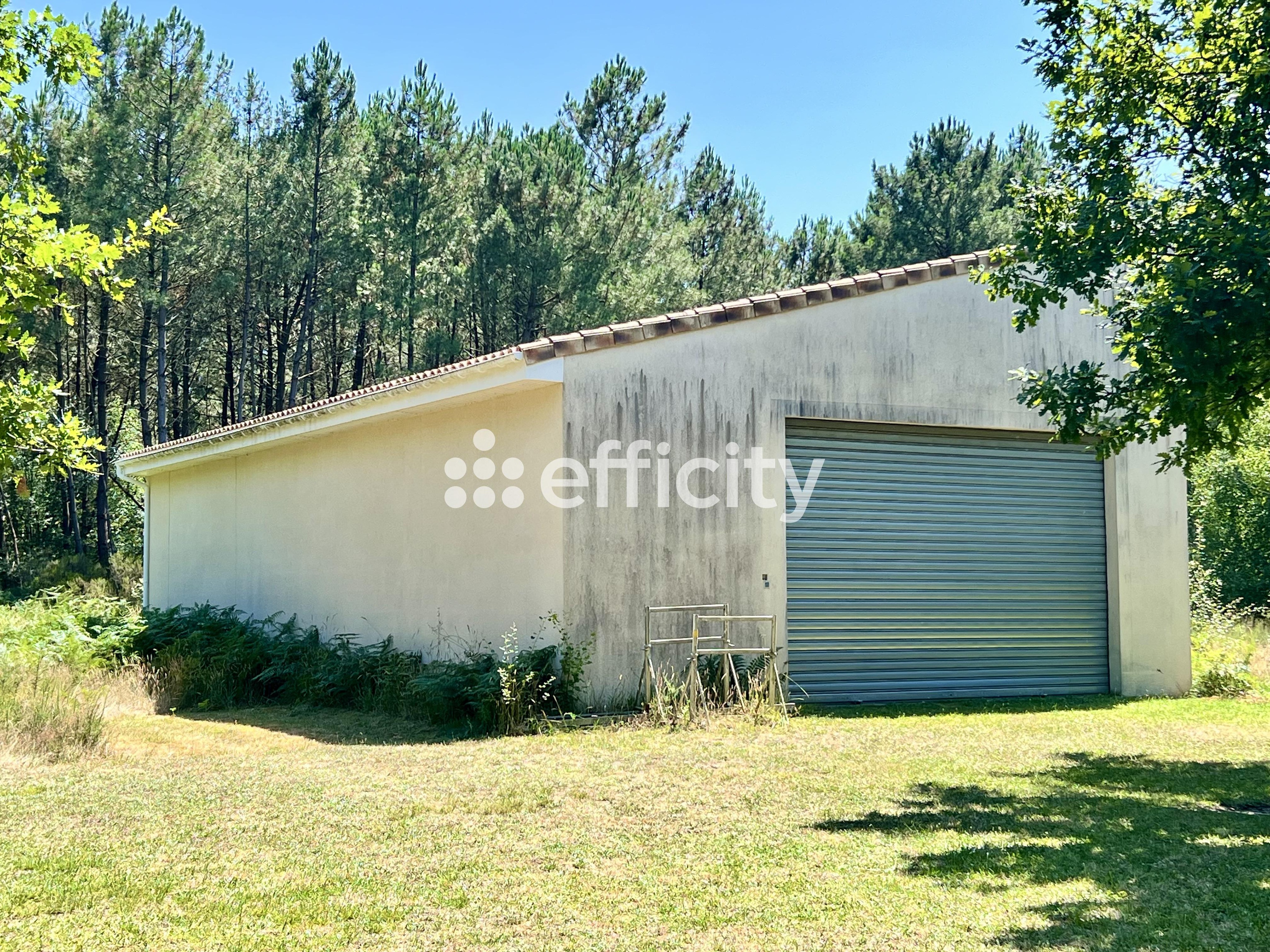 Achat immobilier Maison 9 pièces  240m2 à Sainte-Hélène (33480) - Photo n°5