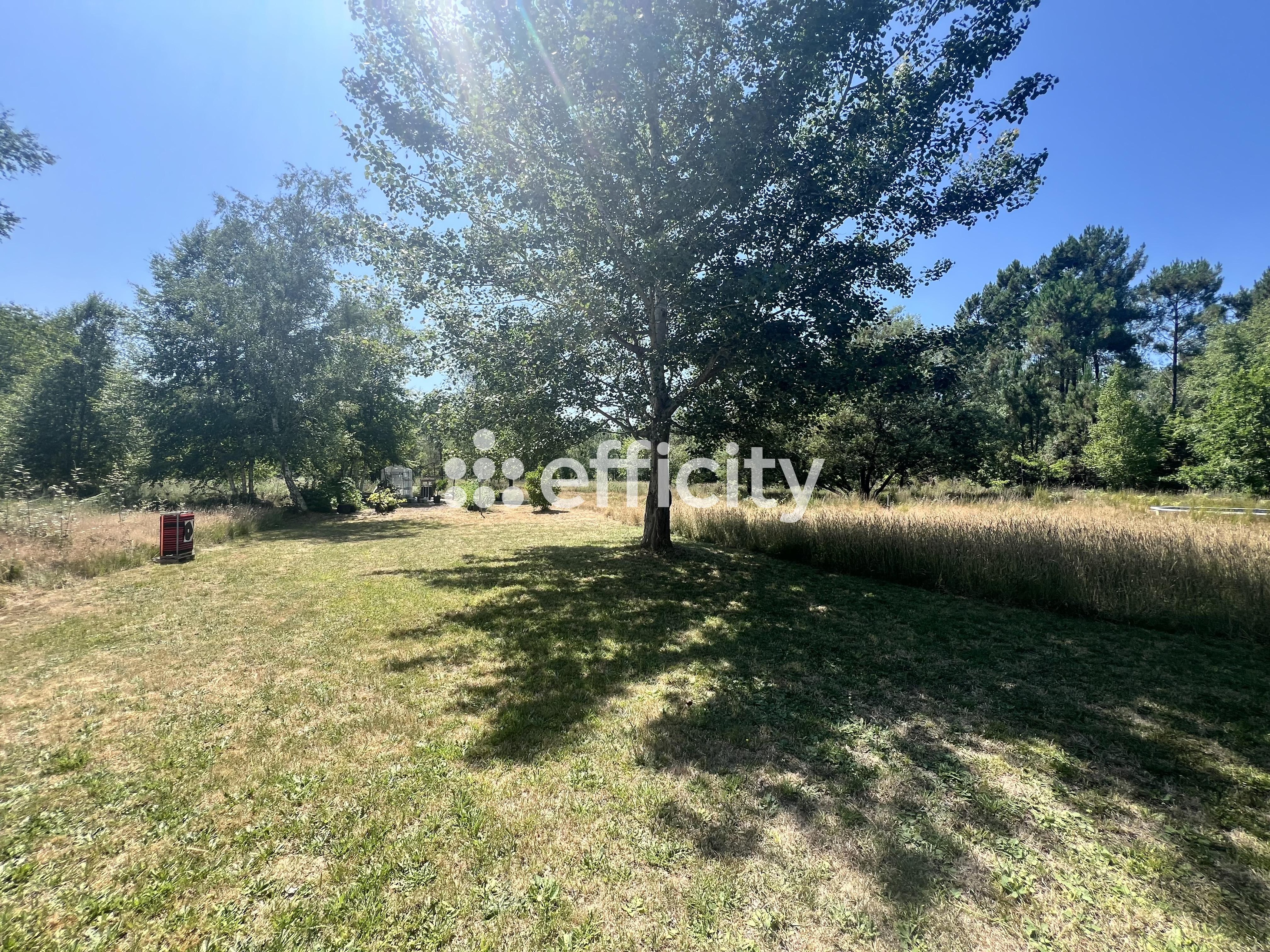 Achat immobilier Maison 9 pièces  240m2 à Sainte-Hélène (33480) - Photo n°7
