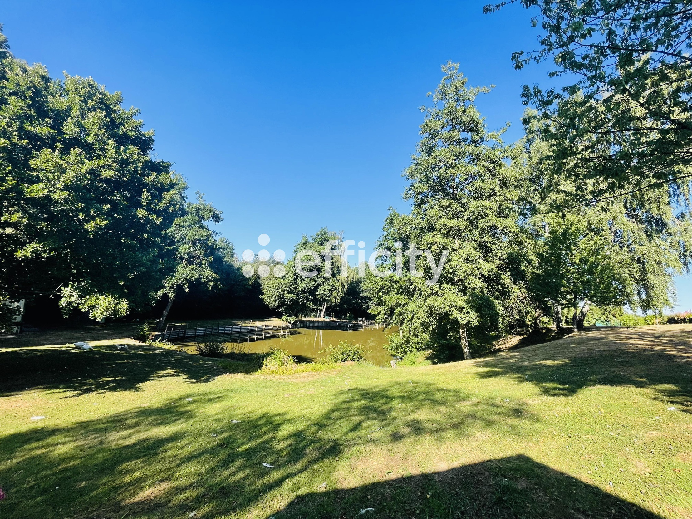 terrain  - 8000,0m2 à Aigné (72650)