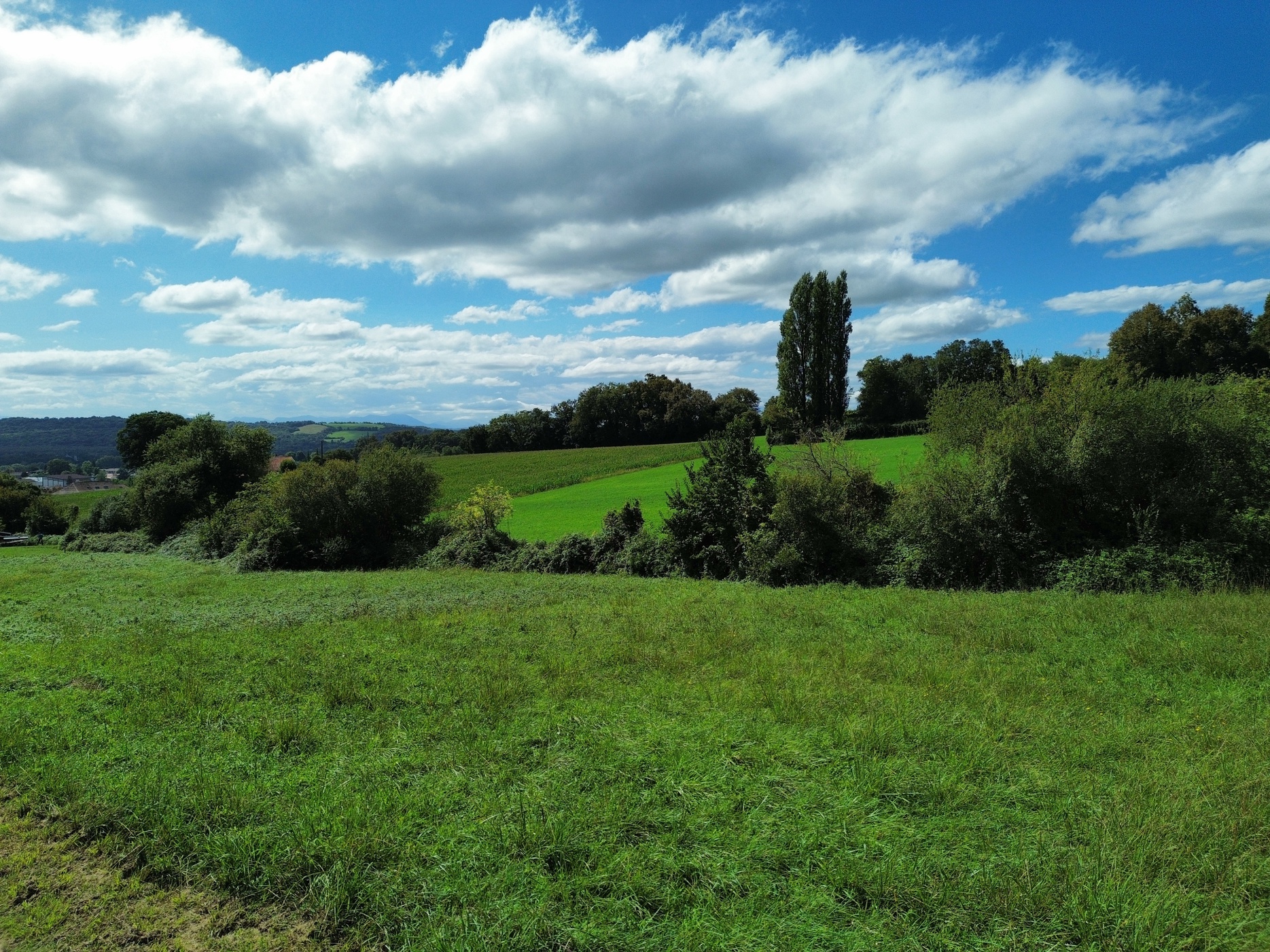 terrain  - 943m2 à Sauveterre-de-Béarn (64390)