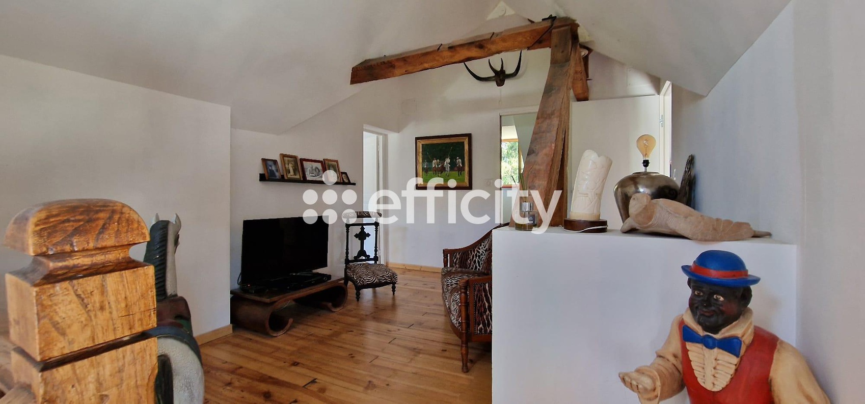 Achat immobilier Appartement 4 pièces  150m2 à Argelès-Gazost (65400) - Photo n°11