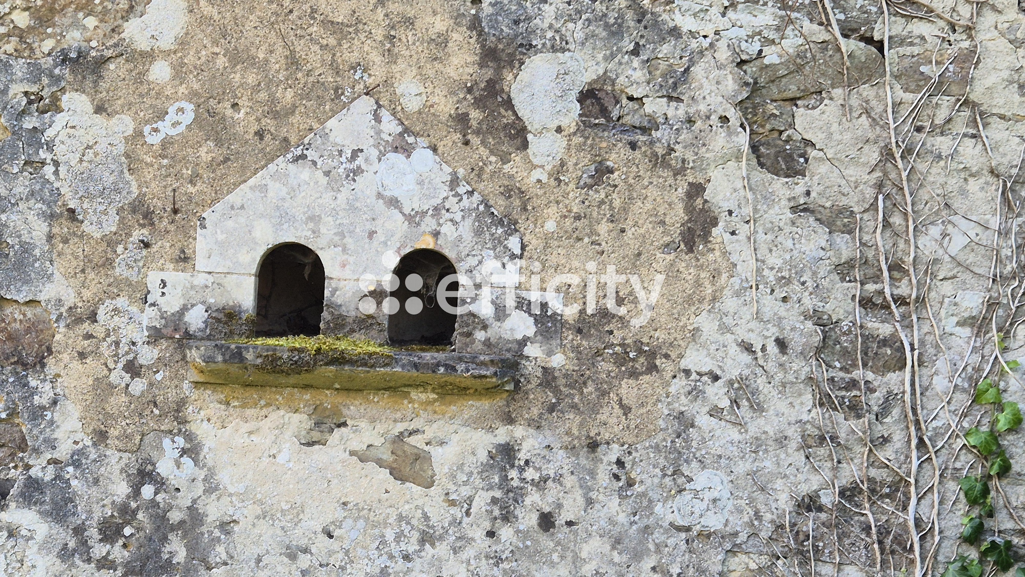 Achat immobilier Maison 15 pièces  386m2 à Caumont-sur-Aure (14240) - Photo n°5